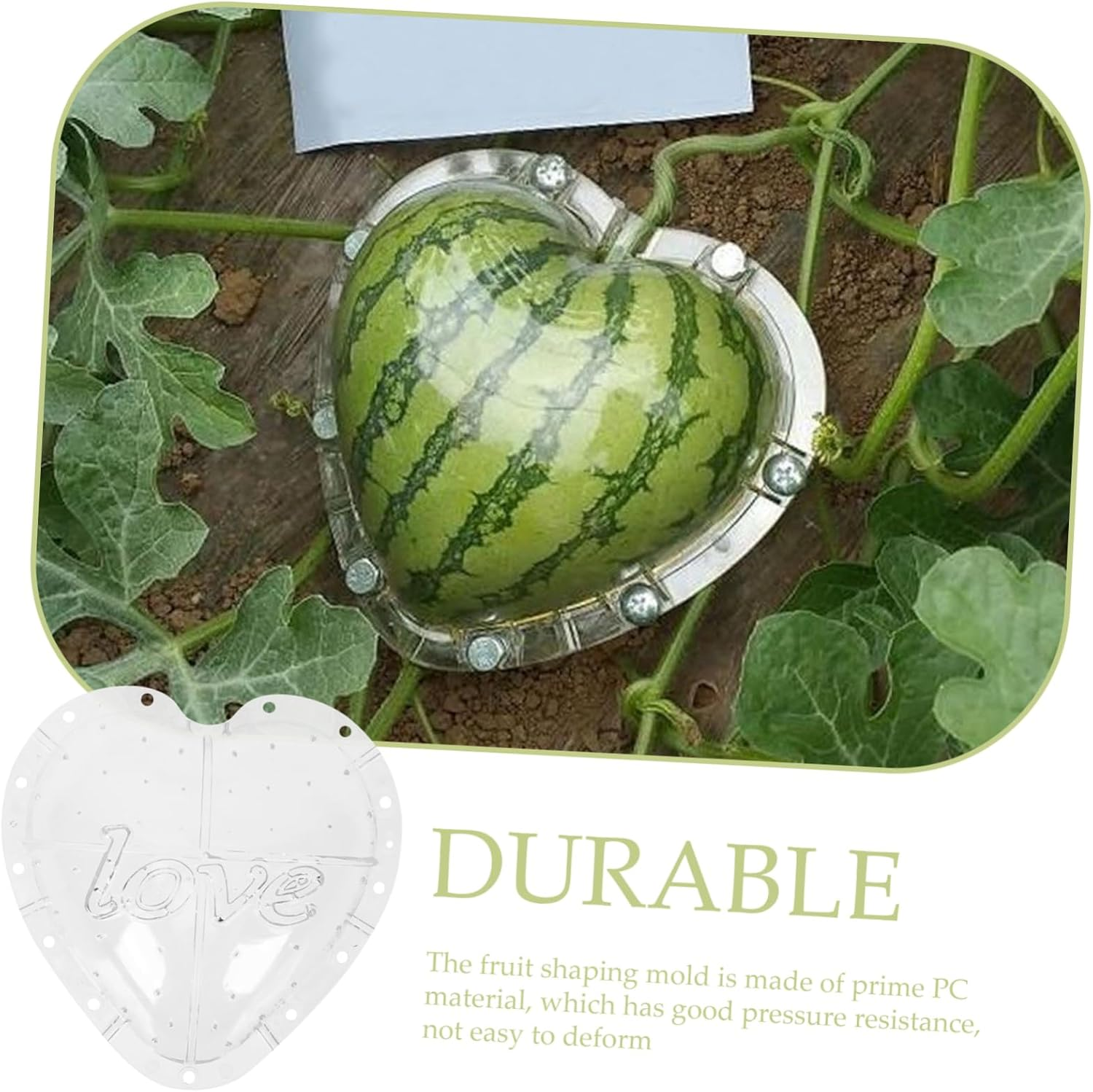 Outanaya Heart Shaped Watermelon Mold Fruit Growing Molds Vegetable Shaping Tool Easy to Use Gardening Supplies image number 6