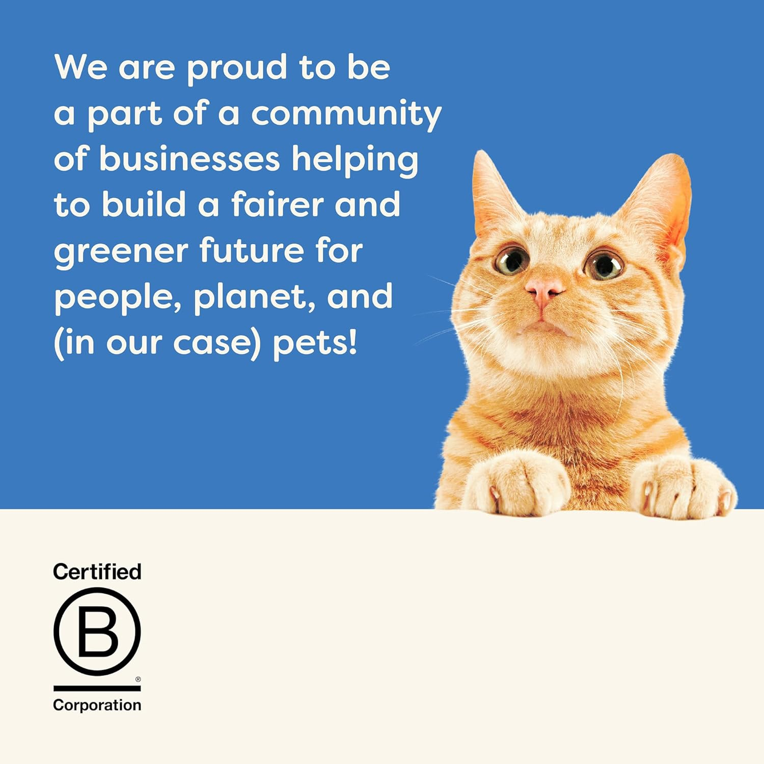 Applaws Natural Cat Treats, Grain-Free Whole Tuna Loins, Single-Ingredient Healthy Snack for Cats (6X30G) image number 3