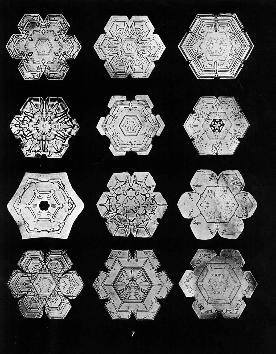 Snowflakes in Photographs image number 4