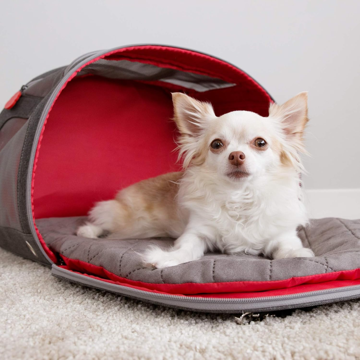KONG Pet Carrier & Travel Bed Mat 2-In-1 for Small to Medium Cats Dogs Kittens & Puppies (Max. 18 Lbs) image number 2