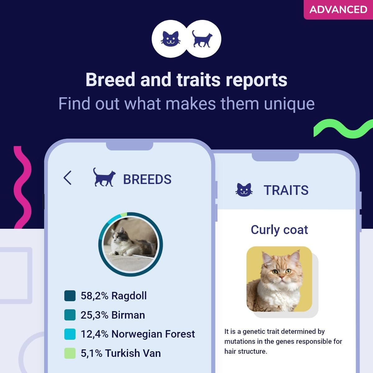 Koko Genetics DNA Test for Cats Advanced - (+150 Reports of Breeds, Health and Traits) - Upgrades at No Cost image number 3