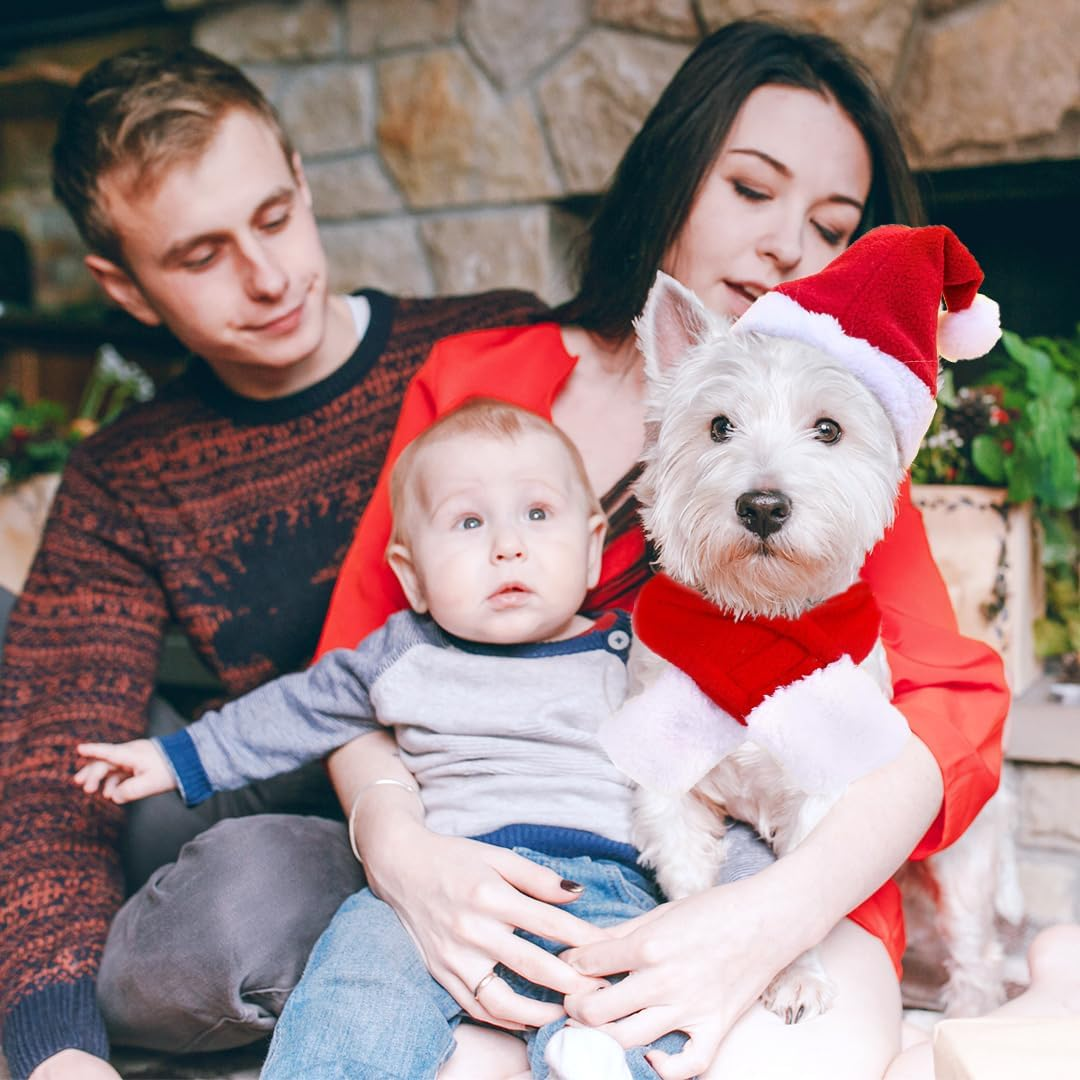 Cat Dog Christmas Costume, Pet Costume Christmas Clothing Christmas Hat and Scarf for Small Dog Cat, Red Cat Clothing, Dog Clothing, Funny Hat, Decoration, Christmas Outfit Gift image number 5