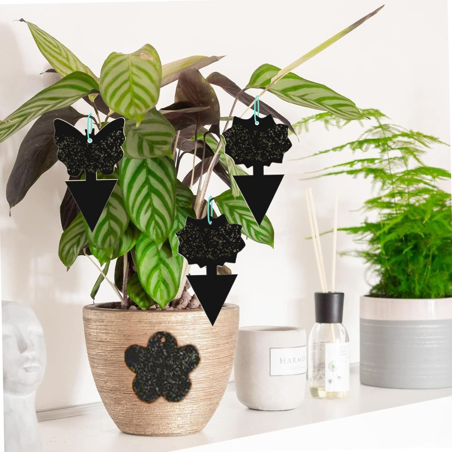 50 Pack Sticky Dual-Sided Gnat Traps,Fruit Fly Trap with Punch Hole,Fungus Gnat Non-Toxic and Odorless for Mosquitoes,Houseplant, Garden,With Twist Ties and Small Shovel (Black) image number 6