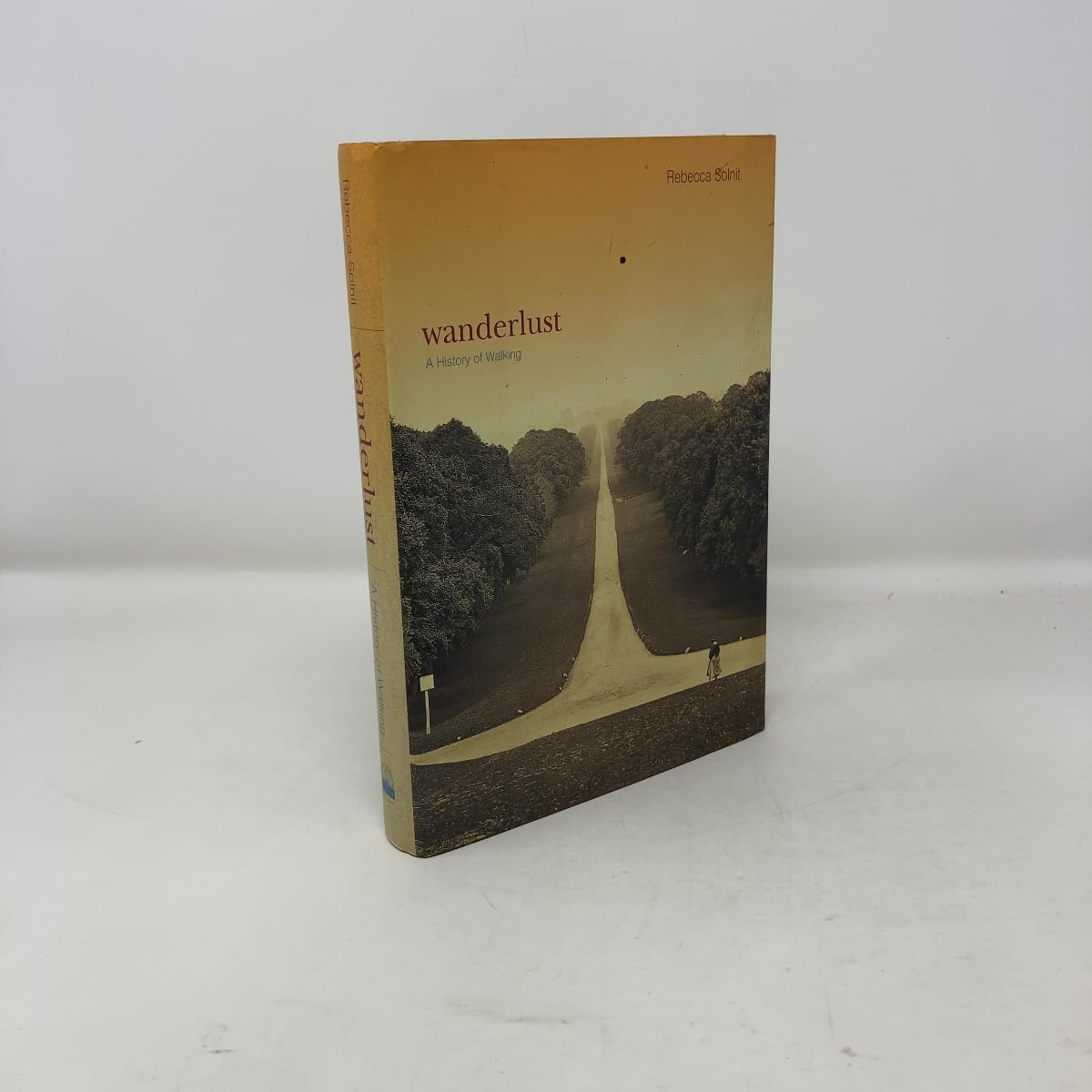 Wanderlust: a History of Walking image number 1