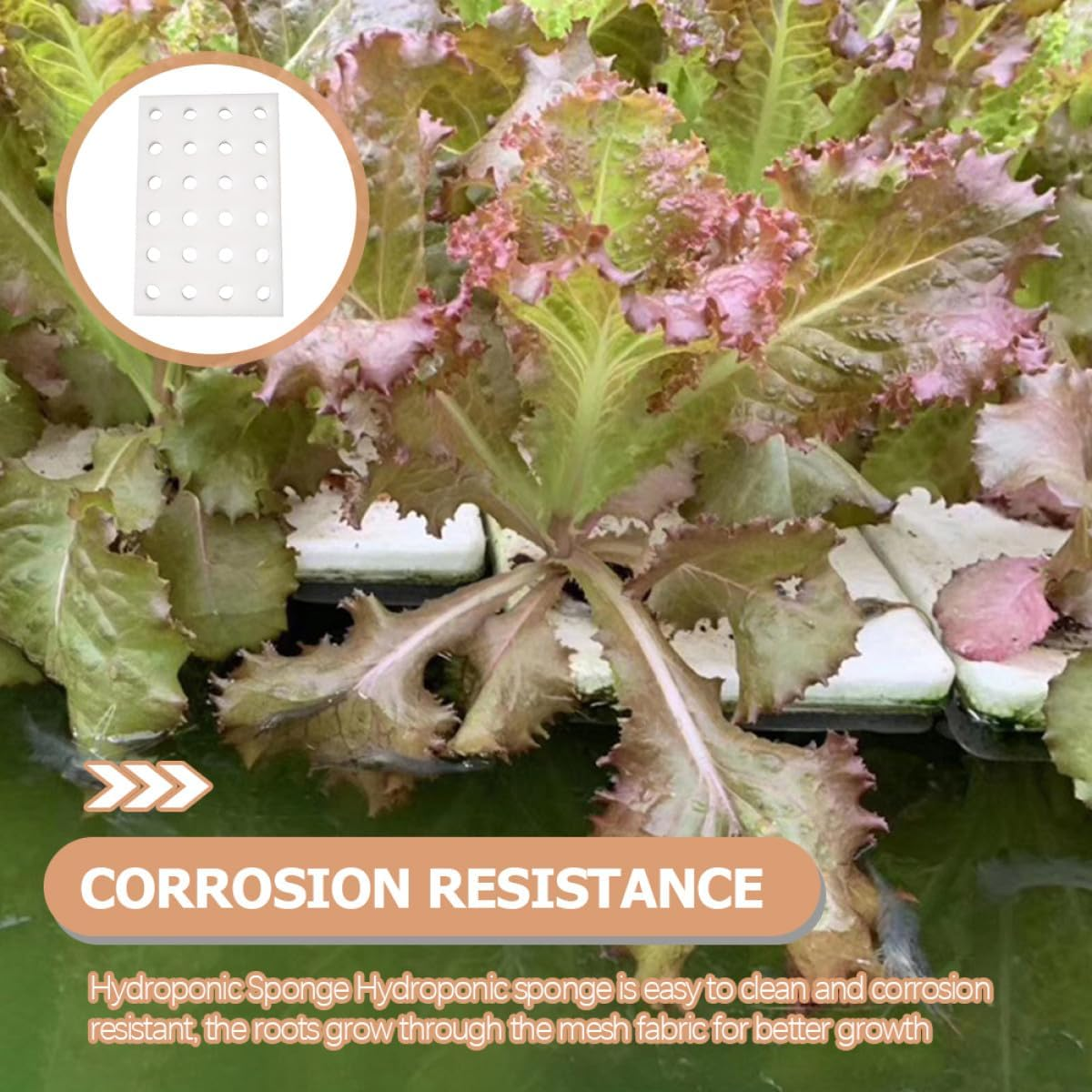 CIYODO 2Pcs Hydroponic Floating Plant Boards 40Mm Hole Diameter Foam Blocks Soil-Free Hydroponic Gardening Supplies for Vegetable and Sprout Growing in Home Greenhouse