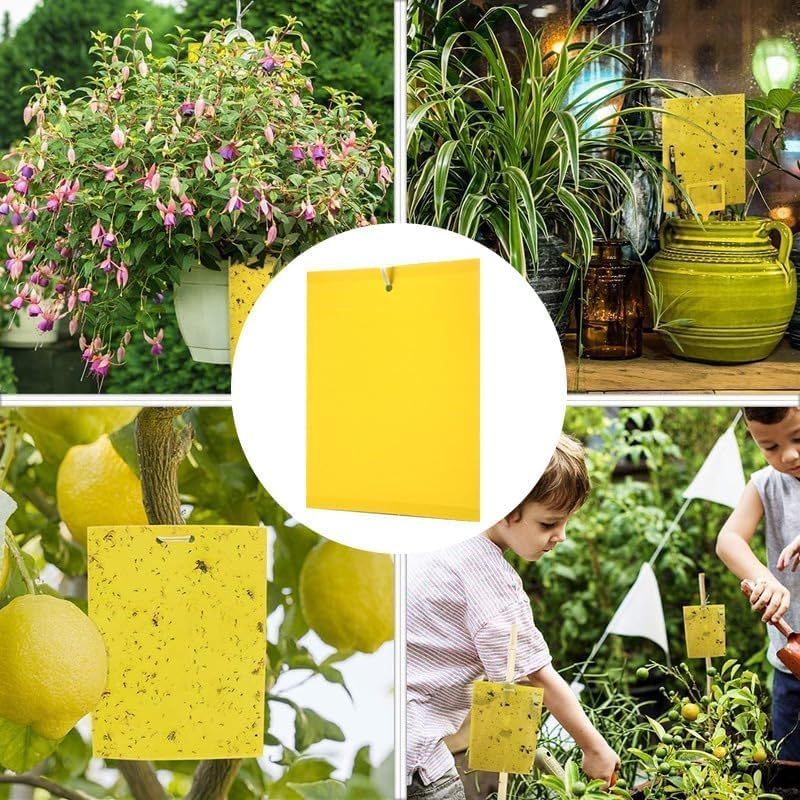 20-Pack Yellow Dual-Sided Sticky Fly Traps for Plant Insect like Fungus Gnats Flying Aphid, Whiteflies, Leafminers, Other Flying Plant Insect image number 4