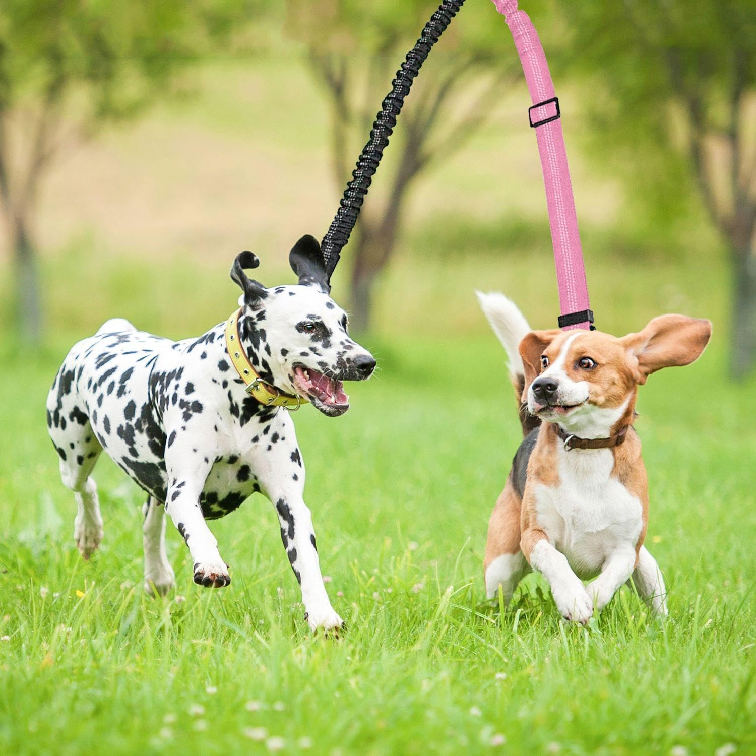 JDNFKG 2 X Double-Headed Dog Dogs and 1 Piece Snack Bag, Outdoor Pet, Adjustable Lead, Training Lead. image number 1