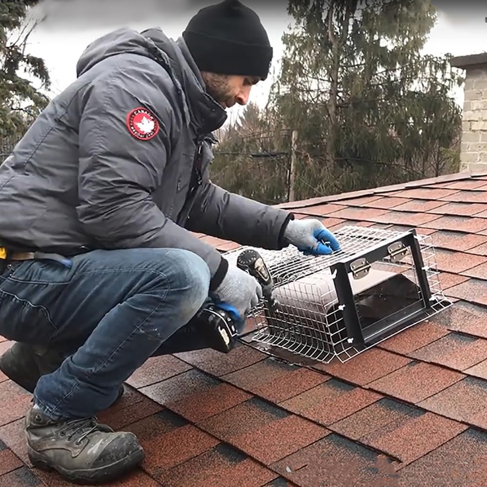 Artowell Raccoon One Way Eviction Door - the Contactless Excluder, Perfect for Outdoor Spaces like Attics, Chimneys & under Decks. Fast Results, Easy DIY Installation