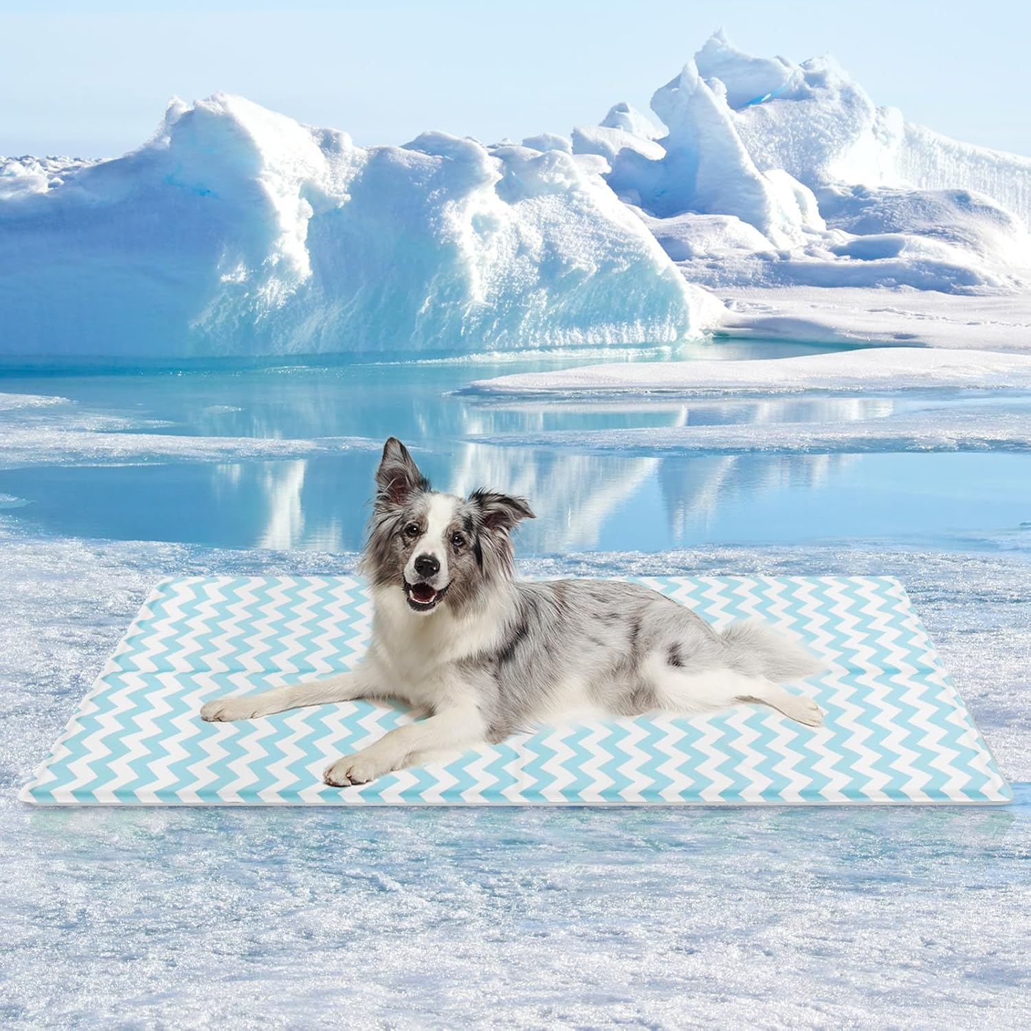 Pawz Pet Cooling Mat Summer Cat Dog Cushion Pad Sleeping Cool L, Non-Toxic Self-Cool Pet Sleeping Bed, Portable Foldable Summer Ice Pad Pet Cooling Cushion for Dogs Cats, Indoor Outdoor, Blue