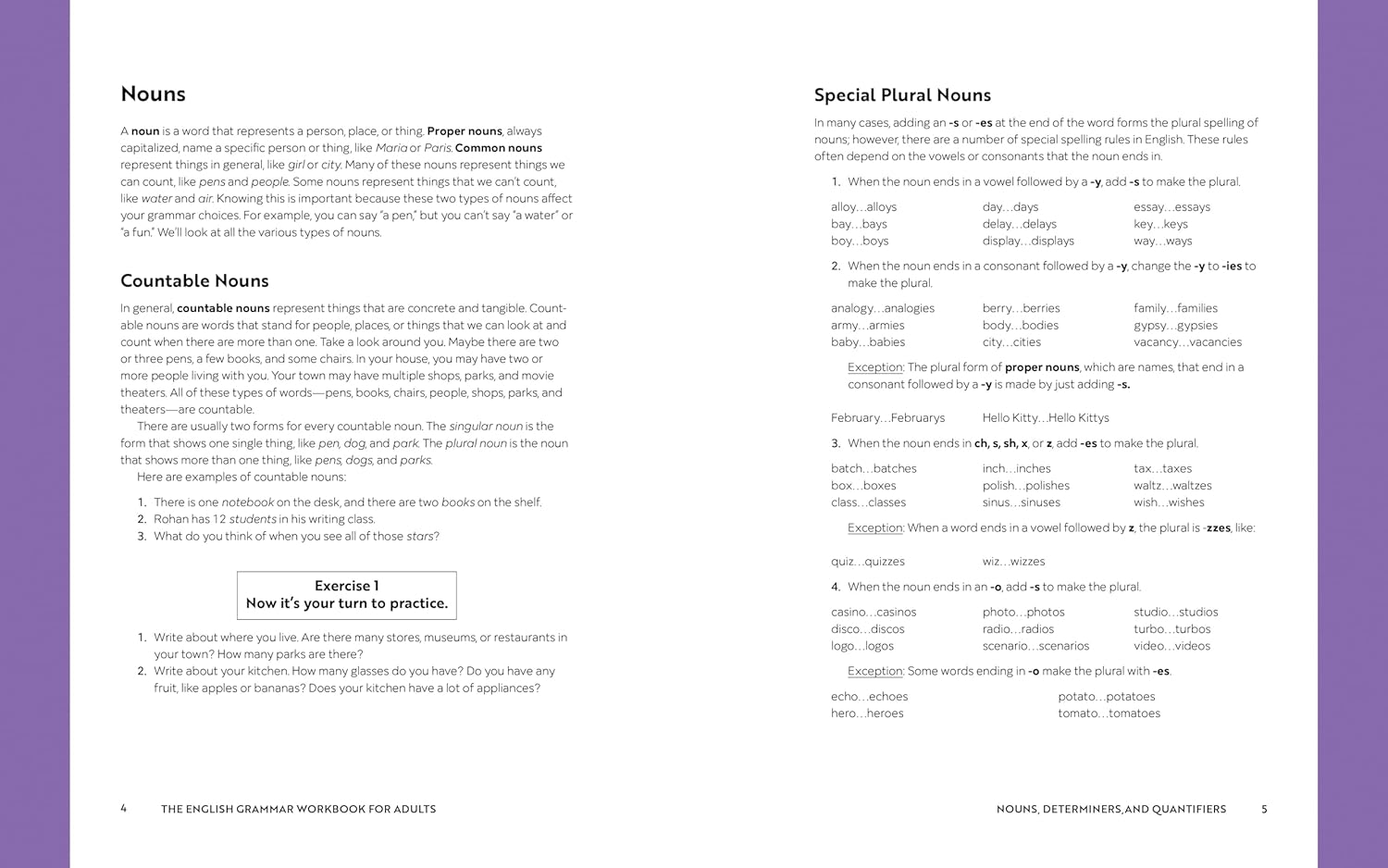 The English Grammar Workbook for Adults: a Self-Study Guide to Improve Functional Writing image number 2