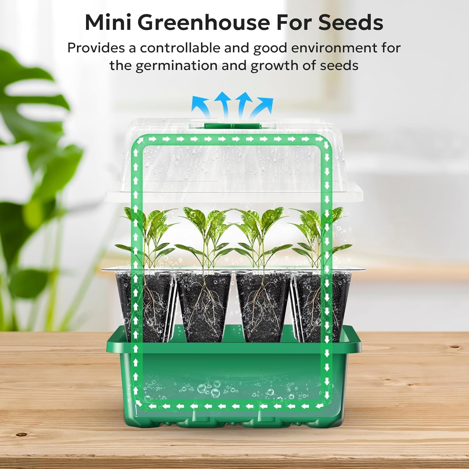Cozioz 10-Pack Seed Starter Tray Kit with Humidity Dome &ndash; 120 Cells Total, Mini Greenhouse for Seed Germination & Plant Growth image number 4
