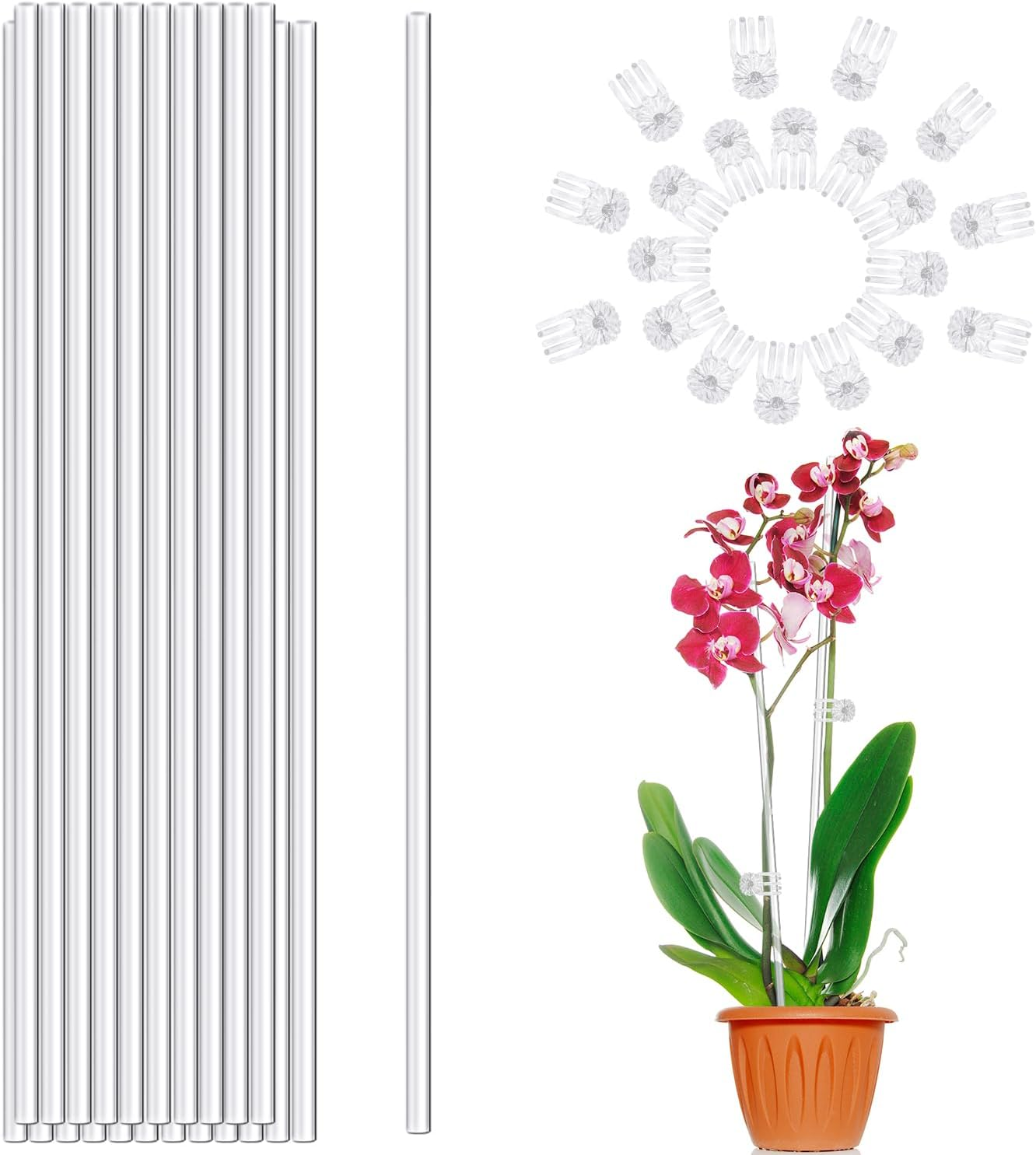 Beienta 20PCS Acrylic Clear Plant Support Stakes with 20PCS Clips, 18 Inches Garden Single Stem Orchid Stakes for Indoor and Outdoor Plants image number 1