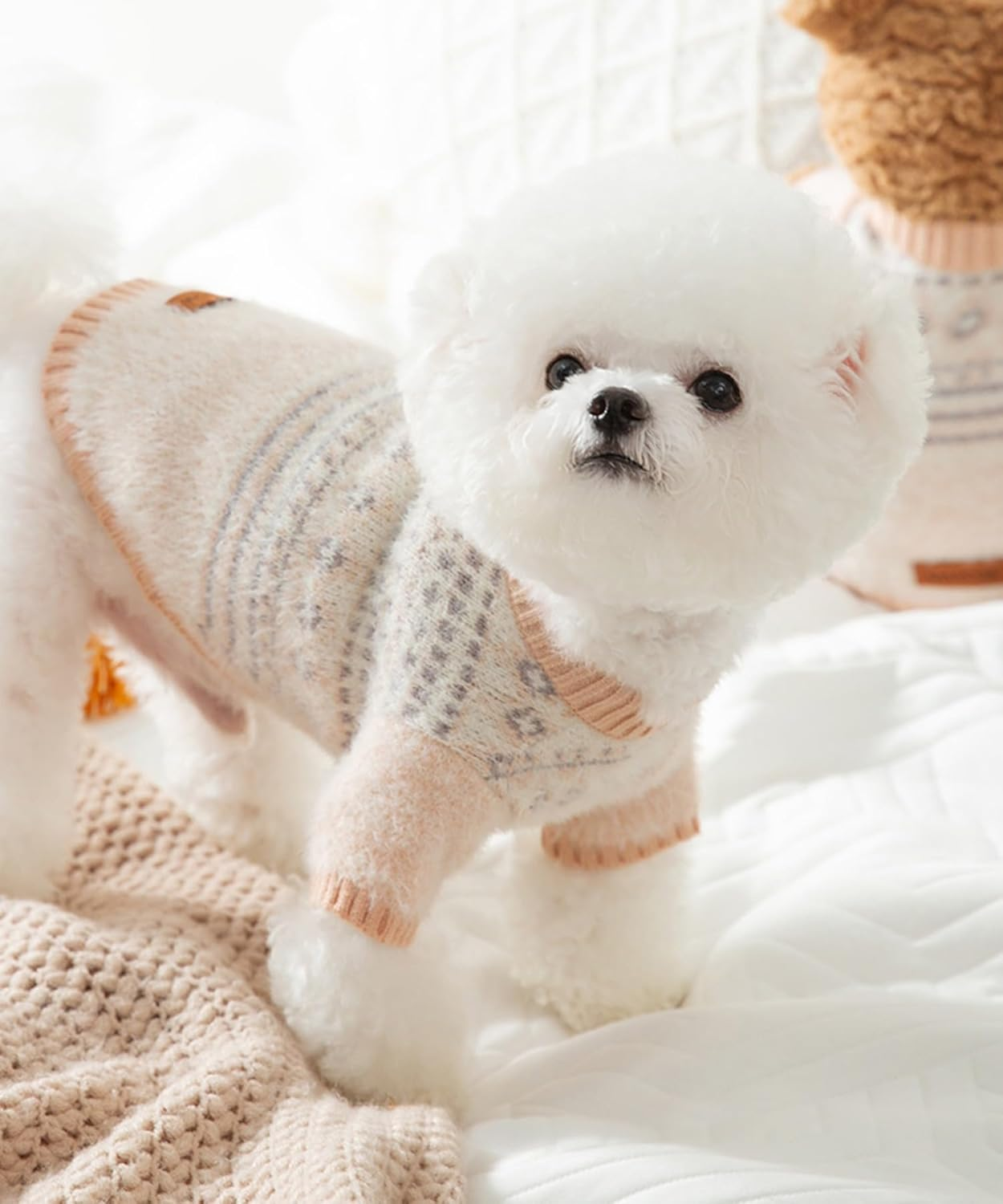 Dog Wear, Dog Clothes, Pet Clothes, Pet Clothes, Knitwear, Checked, Autumn, Winter, Spring, Diamond Pattern, Argyle, Cute Dog Knitwear (Beige, XS) image number 4