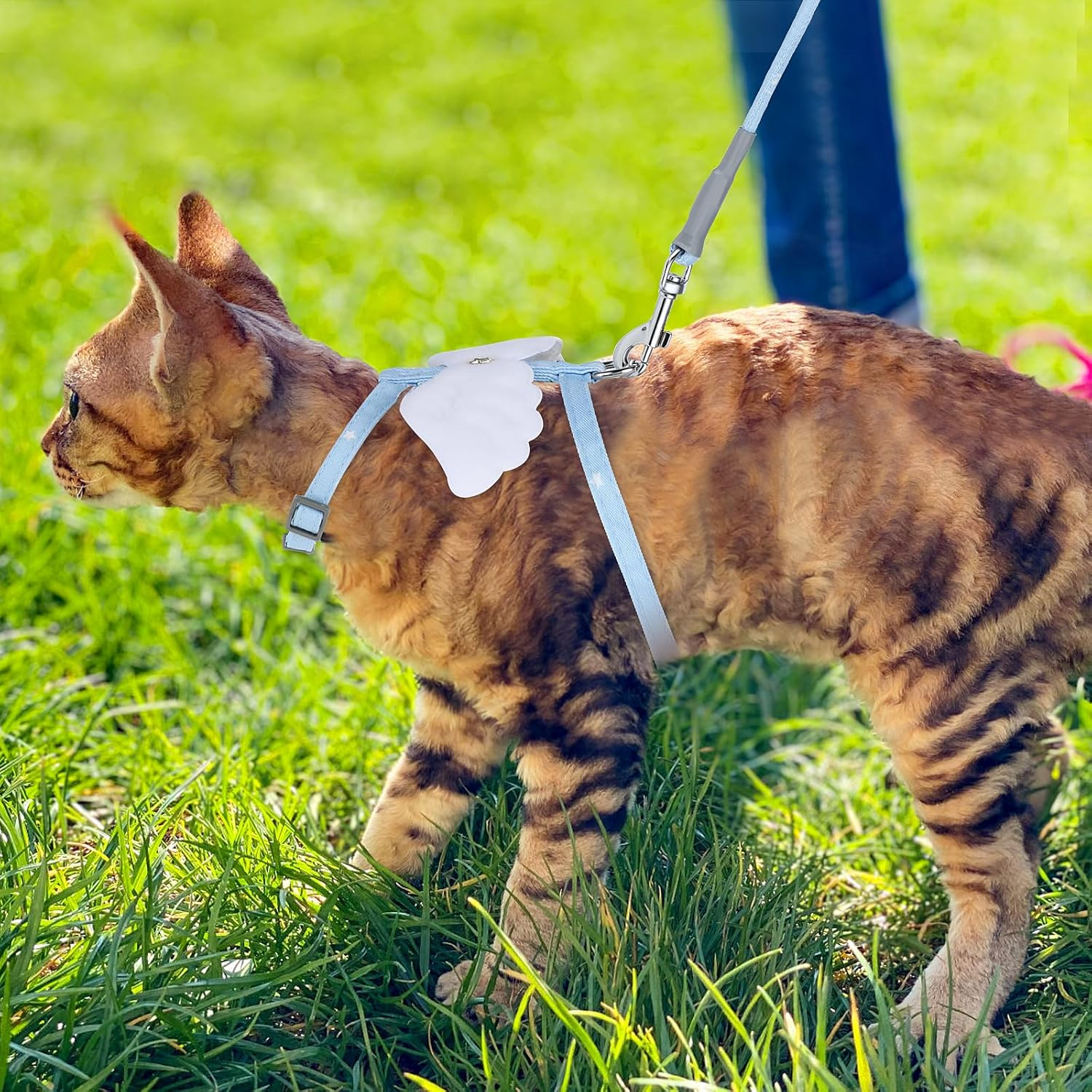 TIESOME Cat Harness and Leash Set, Adjustable Gradient Kitten Harness Escape Proof Harness with Leash for Kitty Outdoor Walking (Sky Blue)