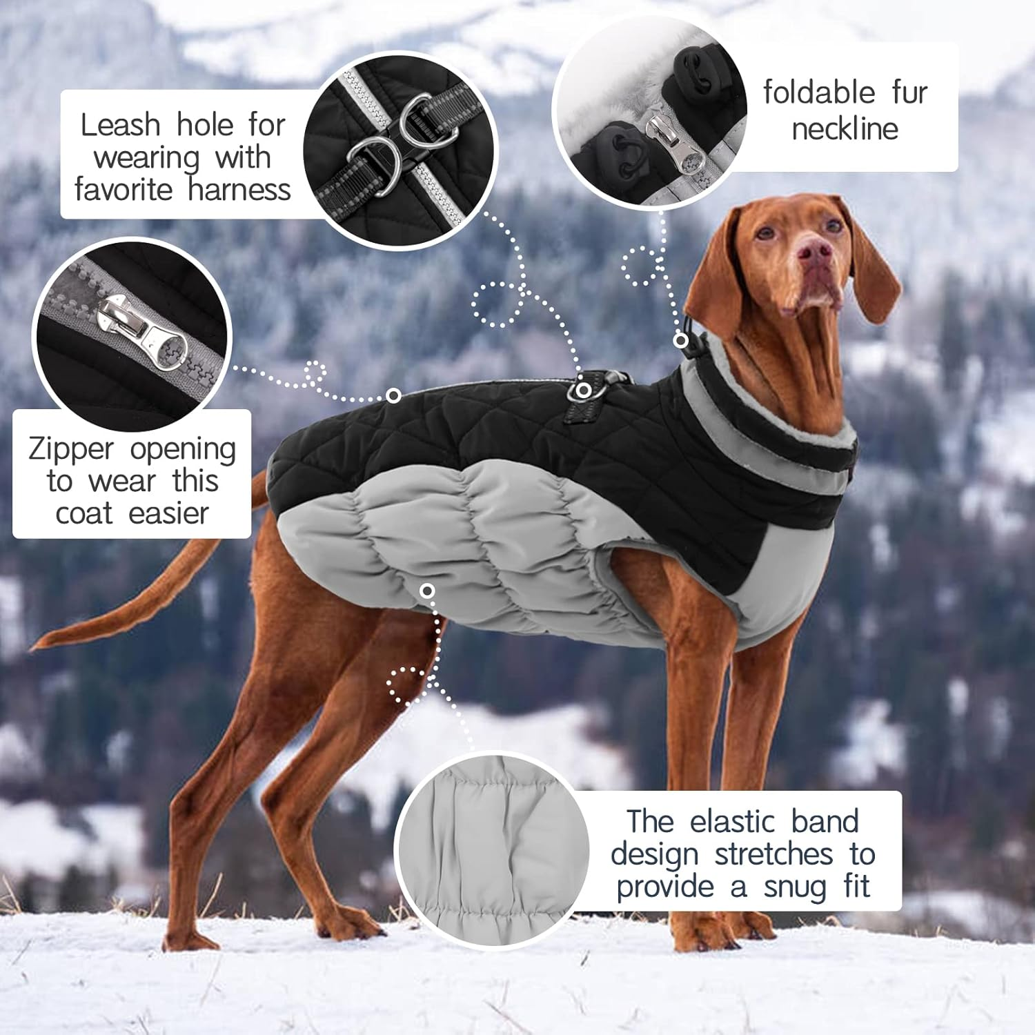Kuoser Dog Coat,Warm Winter Jacket with Padded Fleece, Reflective, Waterproof & Windproof, Built-In Harness,Black,X-Small image number 7