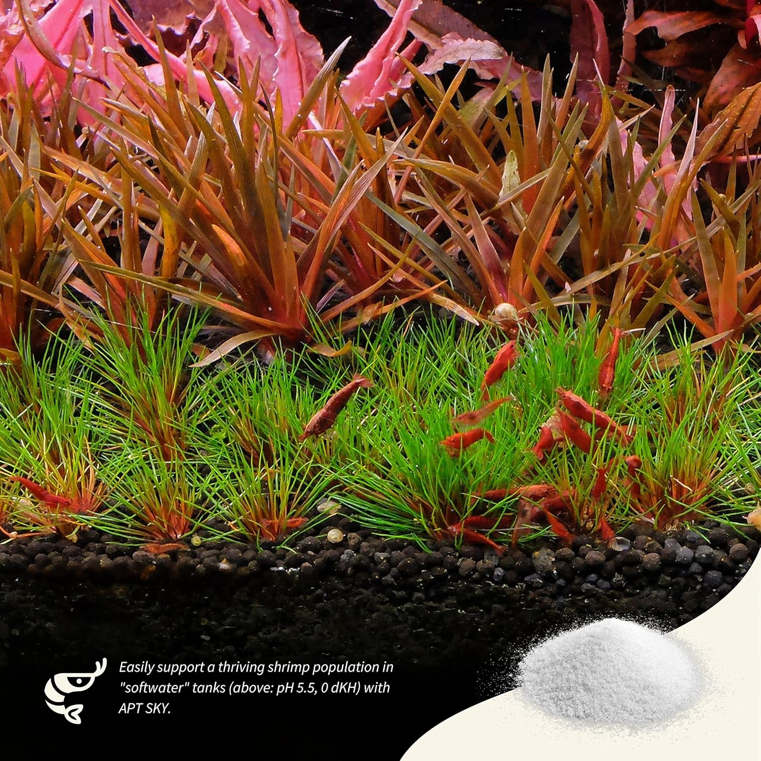 THE 2HR AQUARIST APT Sky GH Booster Aquarium + Shrimp Mineral (800G)