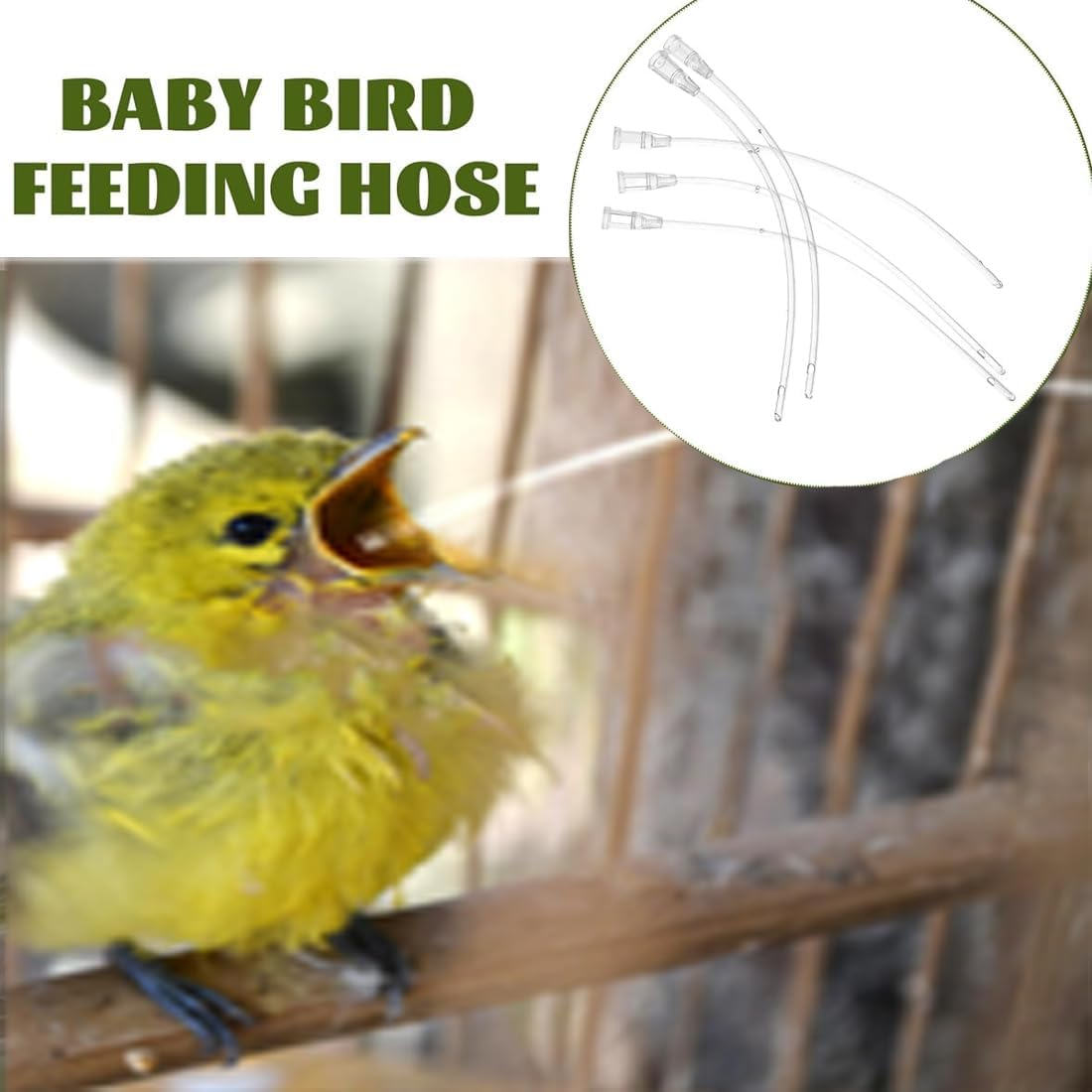 BIRLOZA Pack of 10 Young Birds Feeding Hose, Includes a 10 Ml Syringe, Pigeon Accessories, Feeder Food, Hand Feeding Tool for Baby Birds and Parrots, Milk, Water, Medication, Easy to Clean image number 5