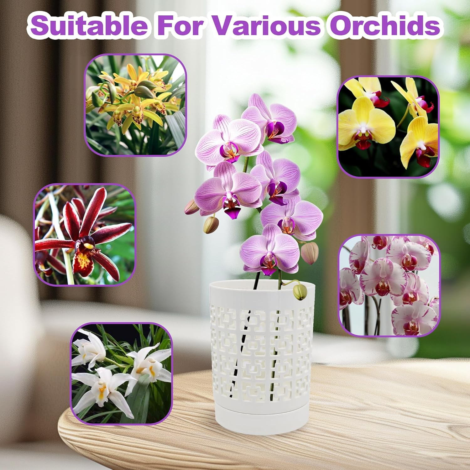 Orchid Pots with Holes, 4 Inch Ceramic Plant Pots for Indoor Plants with Drainage and Saucer, Orchid Planter Pots for Repotting, Small Flower Pots for Orchids Indoor Outdoor (White) image number 6