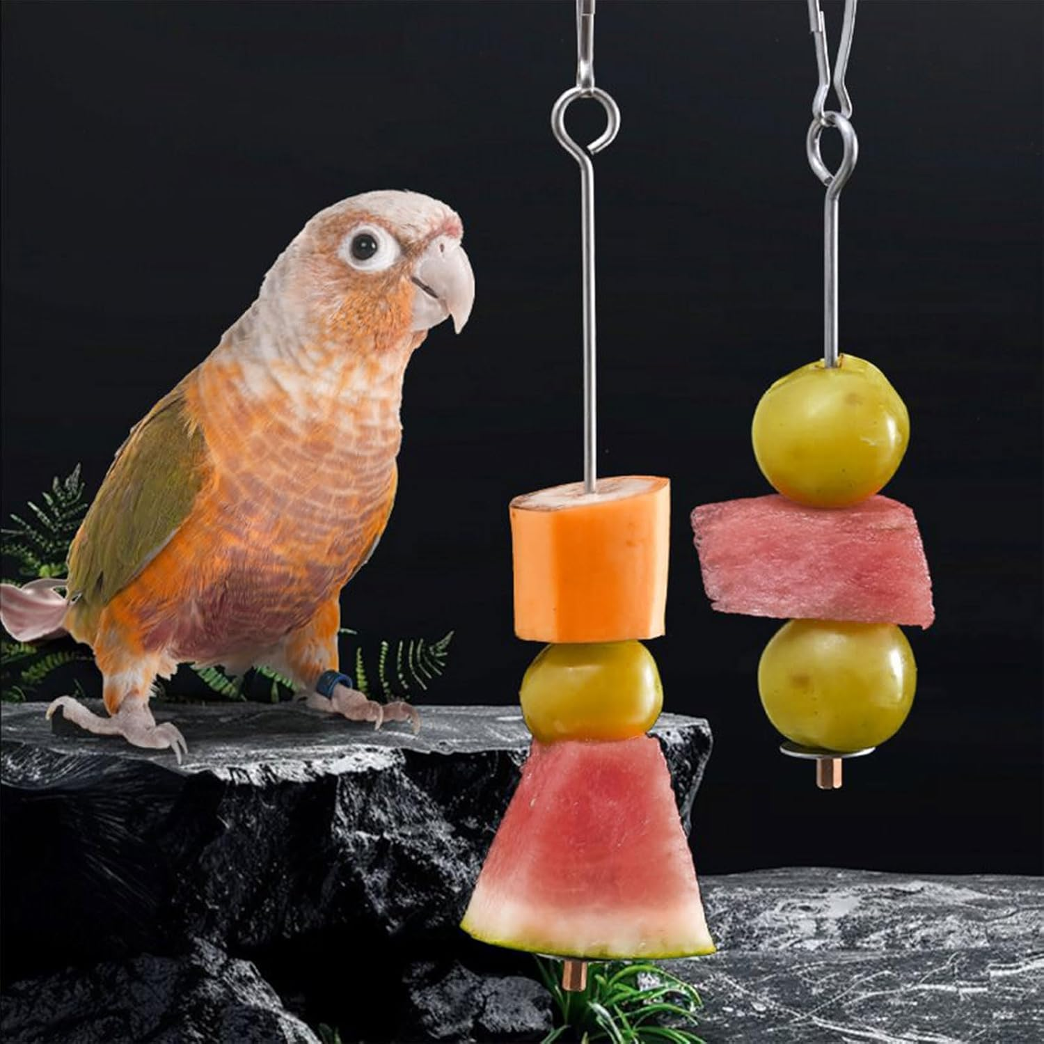 CHDZSW Pack of 2 Bird Spike Parrot Spike Feeder Budgie Accessories Toy Bird Bird Toy Feeding Manger image number 5