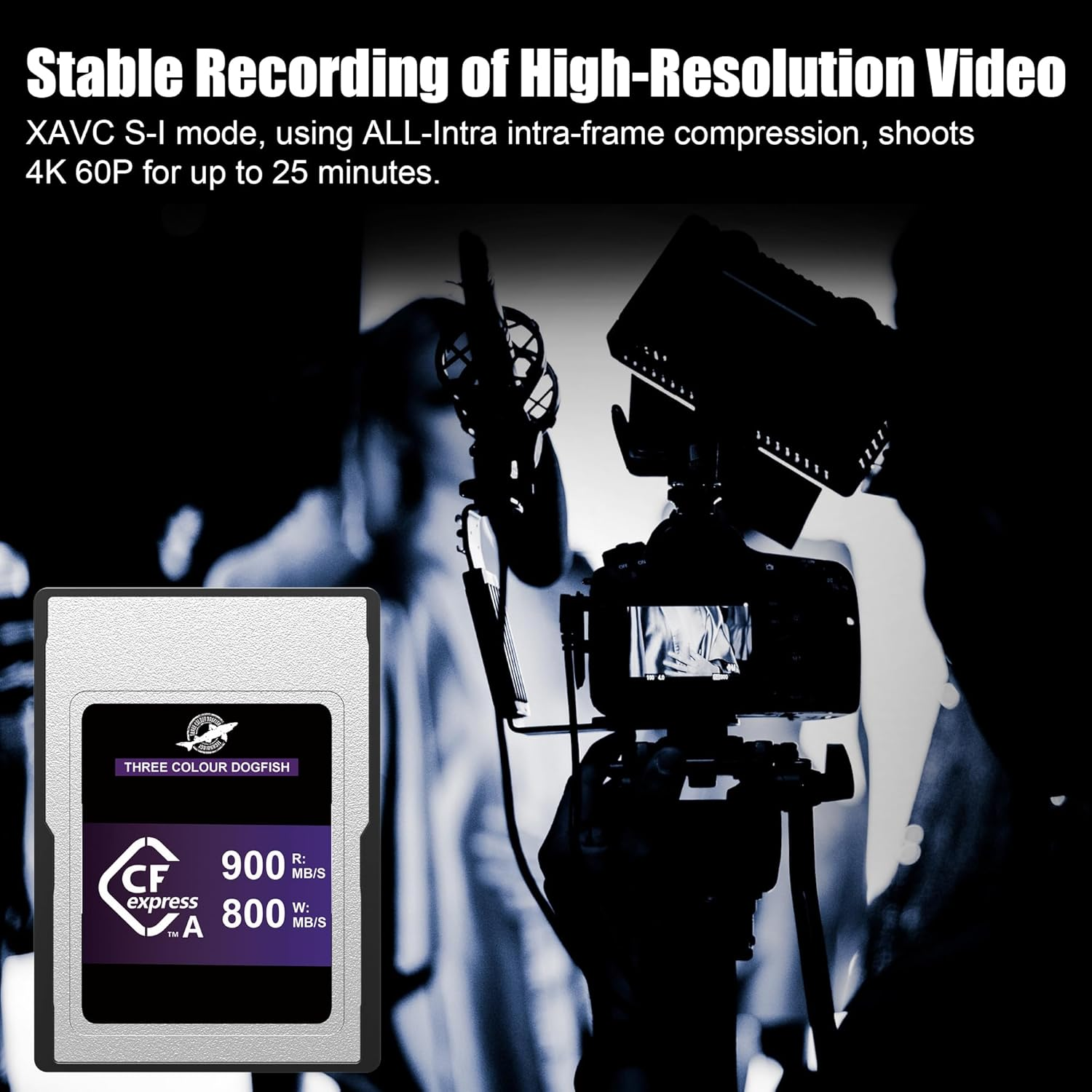 Dogfish 256GB Cfexpress Type a Card, Read up to 900Mb/S, CF Express Memory Card Type a for Sony Alpha/Fx Cameras 4K 8K Recording and High Speed Continuous Shooting