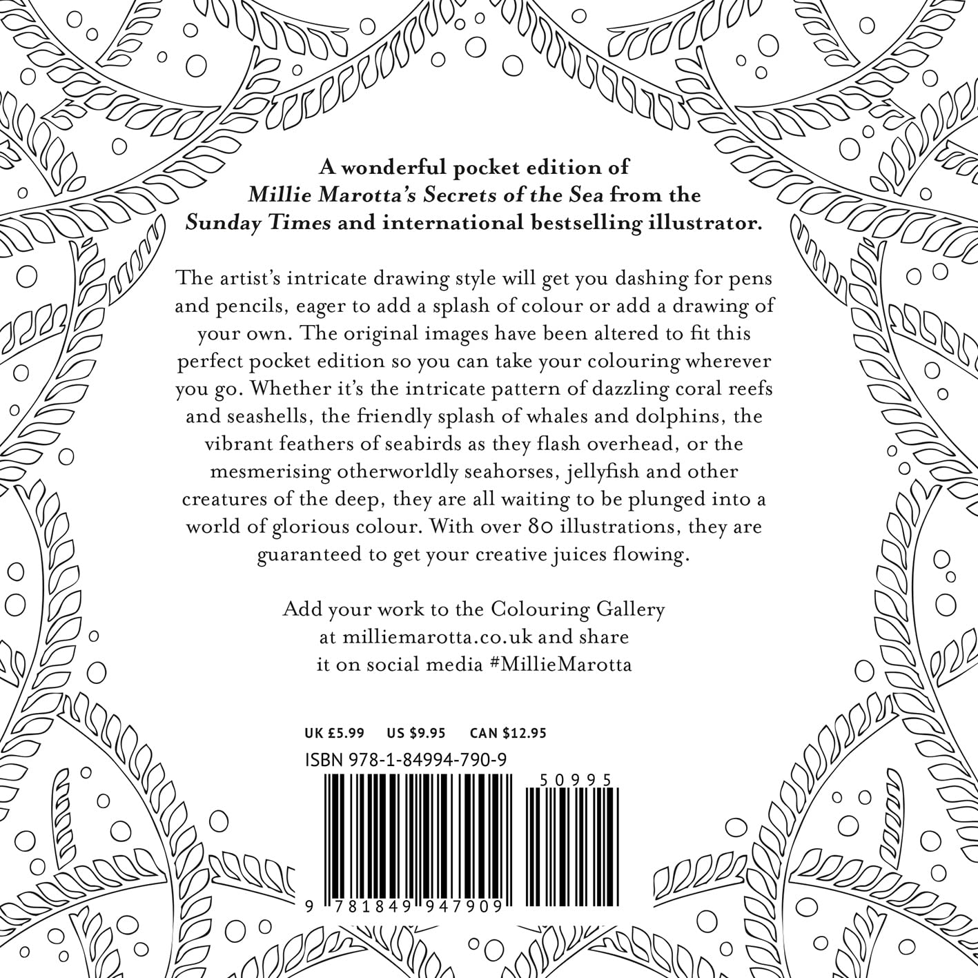 Millie Marotta'S Secrets of the Sea Pocket Colouring image number 4