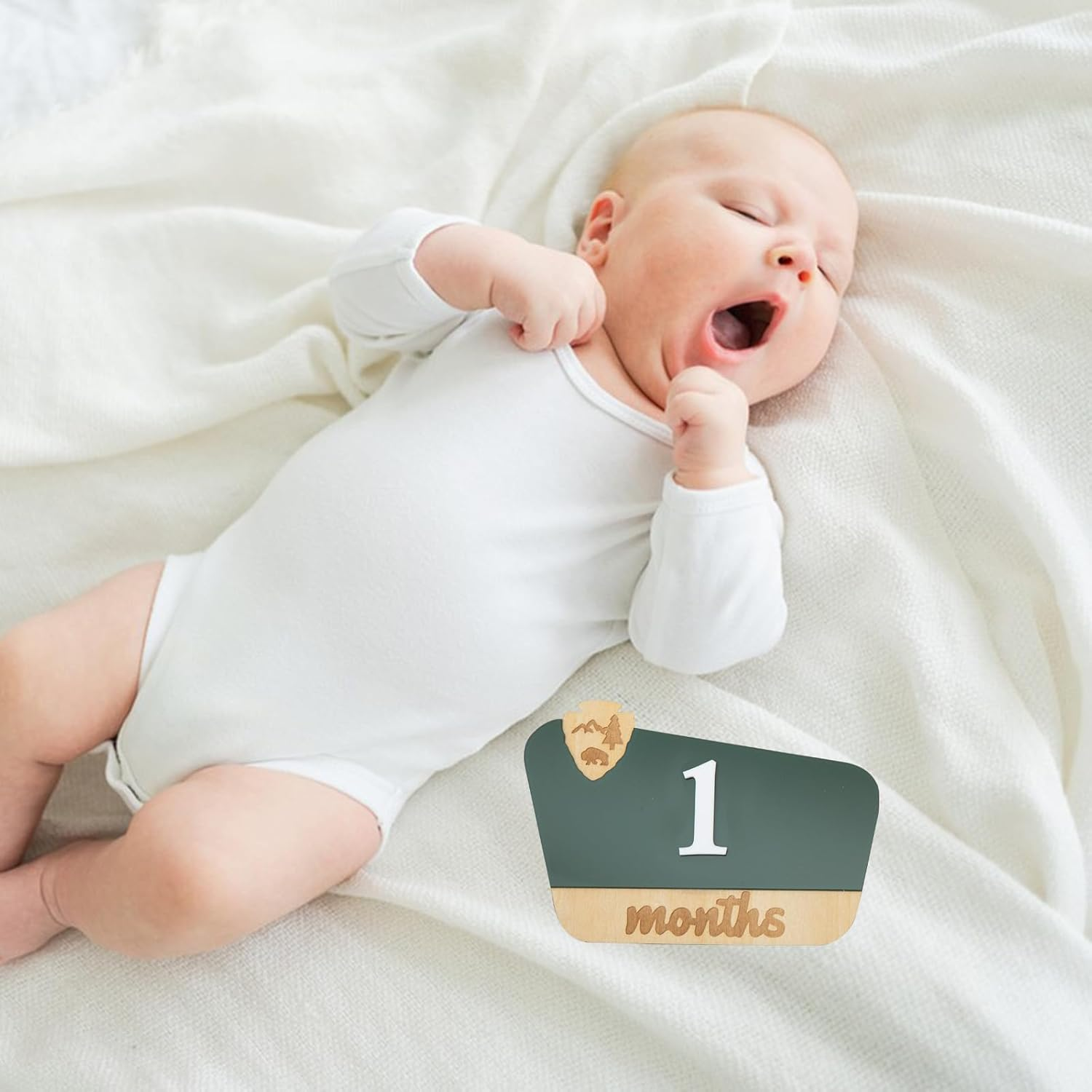 National Park Baby Milestone Markers - Wooden Monthly Signs for 1-12 Months, Interchangeable Nature-Themed Growth Tracker, Rustic Nursery Decor, Woodland Baby Announcement Board, Photoshoot Props image number 1