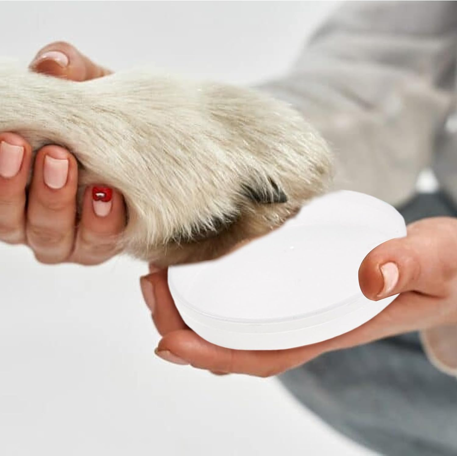 Dog Paw Print Kit - Soft Clay for Molding, Personalized Pet Memorial Impression | Keepsake Ornament with Paw Print and Details, Air-Dry Clay Pet Footprint Kit for Memorial image number 5