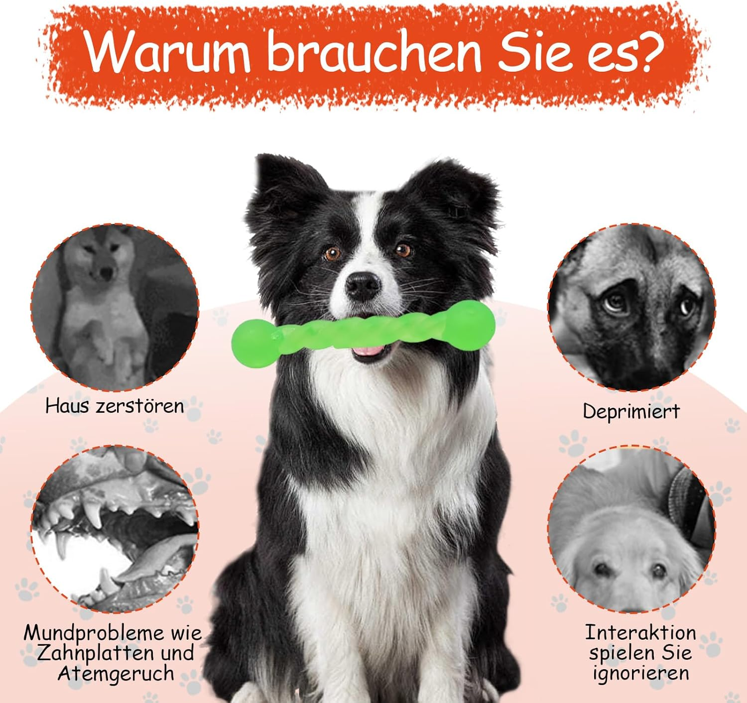 MOAZIFI Chew Toy Dog Throw Toy image number 4