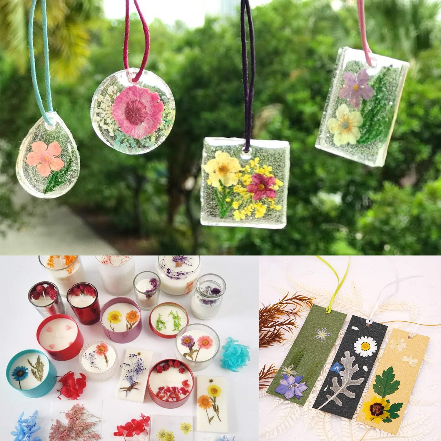 Cinvo 90 Pcs Real Dried Pressed Flowers and Leaves Natural Dried Petals for Candle Resin Jewelry Soap Nail Pendant Phone Case Crafts Making Floral Decors Scrapbooking Diy(Blue, Purple, Pink, Green) - Assorted image number 2