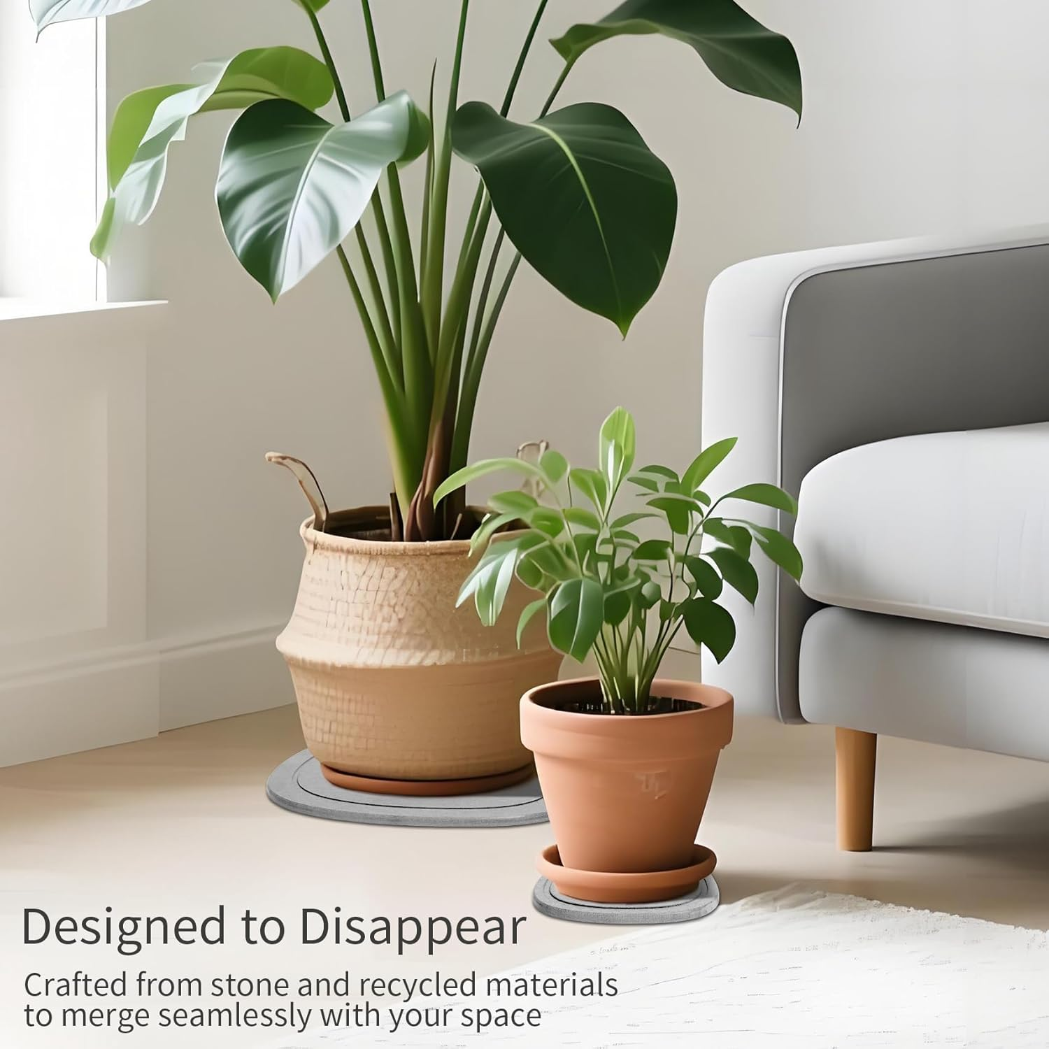 Stone Plant Saucers | Premium Diatomite | Water-Absorbent Planter Trays for Indoor Plants | Flower Pot Saucers | Plant Pot Plate & Drip Tray for Drainage | 2 Pack | Ash image number 1