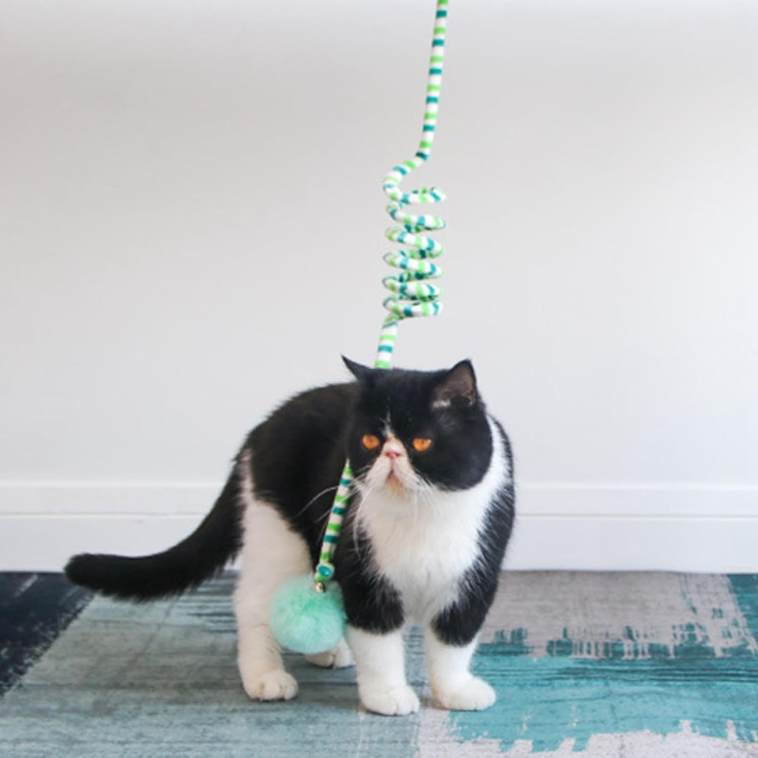 Cat Spring Toys, Fun Relieve Boredom Soft Plush Suction Cup Fixation Interactive Cat Ball Toys with Bell, Hanging Door Cat Ball Toys Stretchable Soft Plush Cat Teaser Toy for Kitten Chase Play(Green) - Green image number 4