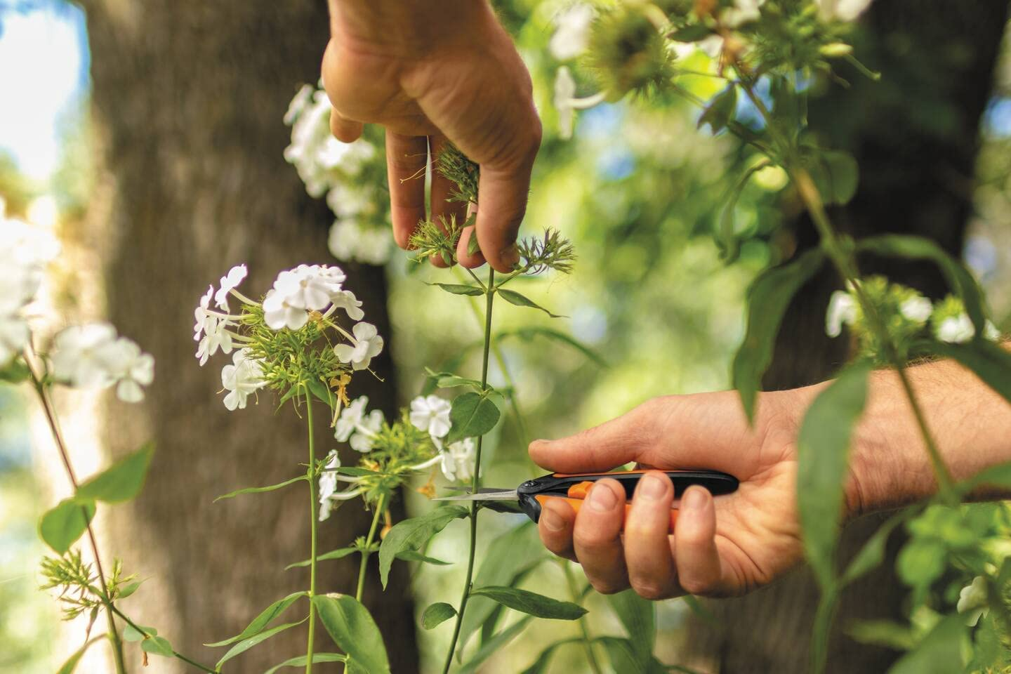 Fiskars Pruning Snip, 140 Mm Length image number 1