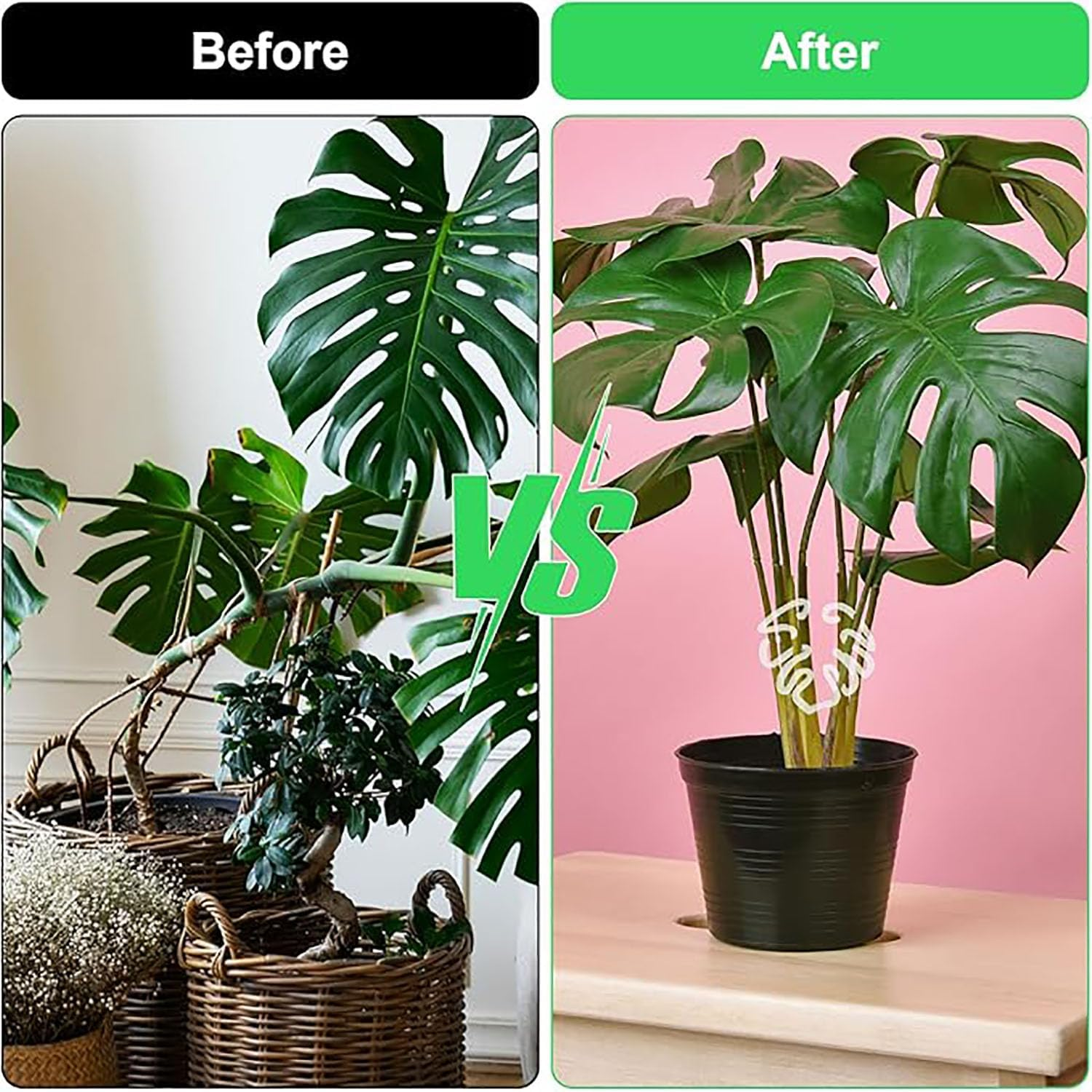 Plant Support 6PCS Anti-Collapse Magic Stem Holder Branch Collector Transparent Turtleback Bamboo Clip Transparent image number 4