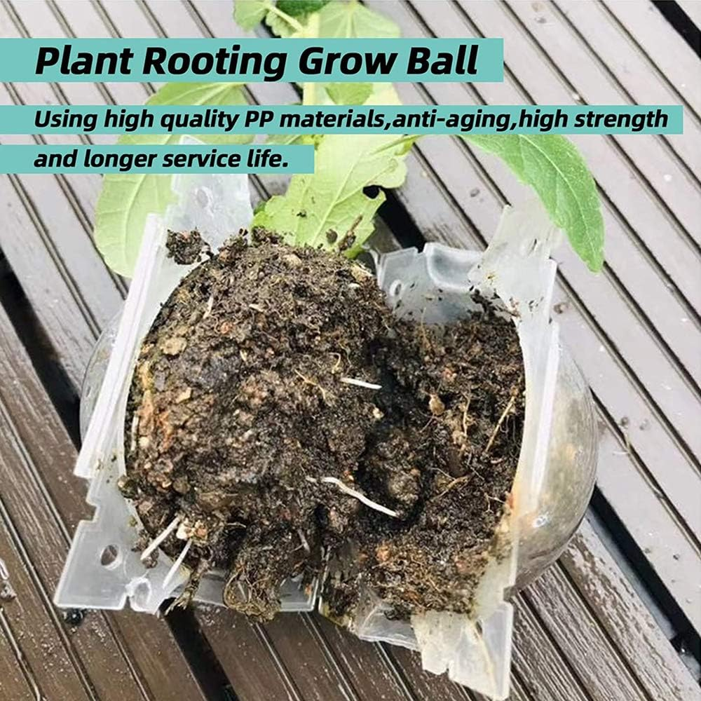 Plant Root Growing Box, Reusable Plant Rooting Device Plant Rooting Grow Box High Pressure Propagation Ball Grafting Device Botany Root Controller (Medium（3.1&Prime;&times;6Pcs）, Transparent) image number 5