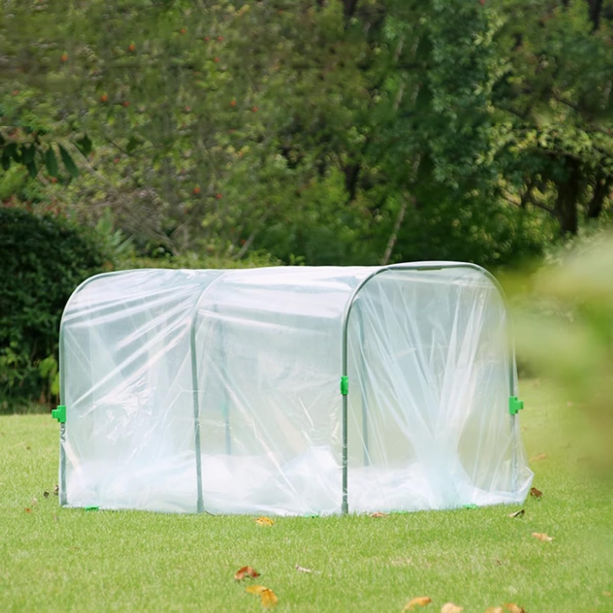 AIMALL Small Gardening Greenhouse with Insulation Film, 39.37In Pe-Coated Frame Plant Shelter for Seedlings, Anti-Freezing Rainproof Mini Green House for Flowers and Vegetables image number 2