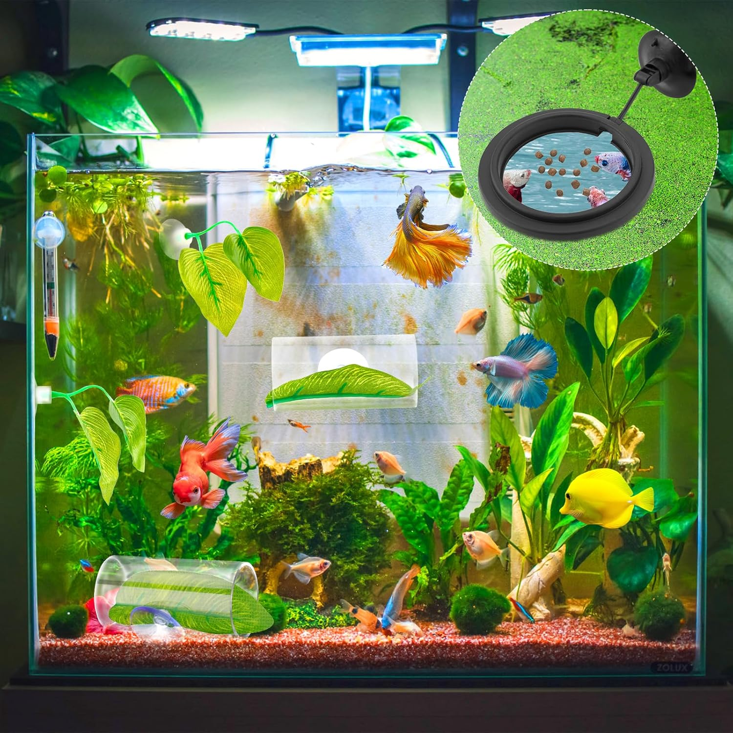 NQEUEPN Betta Fish Tank Accessories, 2Pcs Betta Tunnel & 2Pcs Betta Fish Leaf & round Fish Feeding Ring Fish Toys Betta Fish Natural Habitat Shelter Hideaway Betta Fish Tank Decorations image number 3