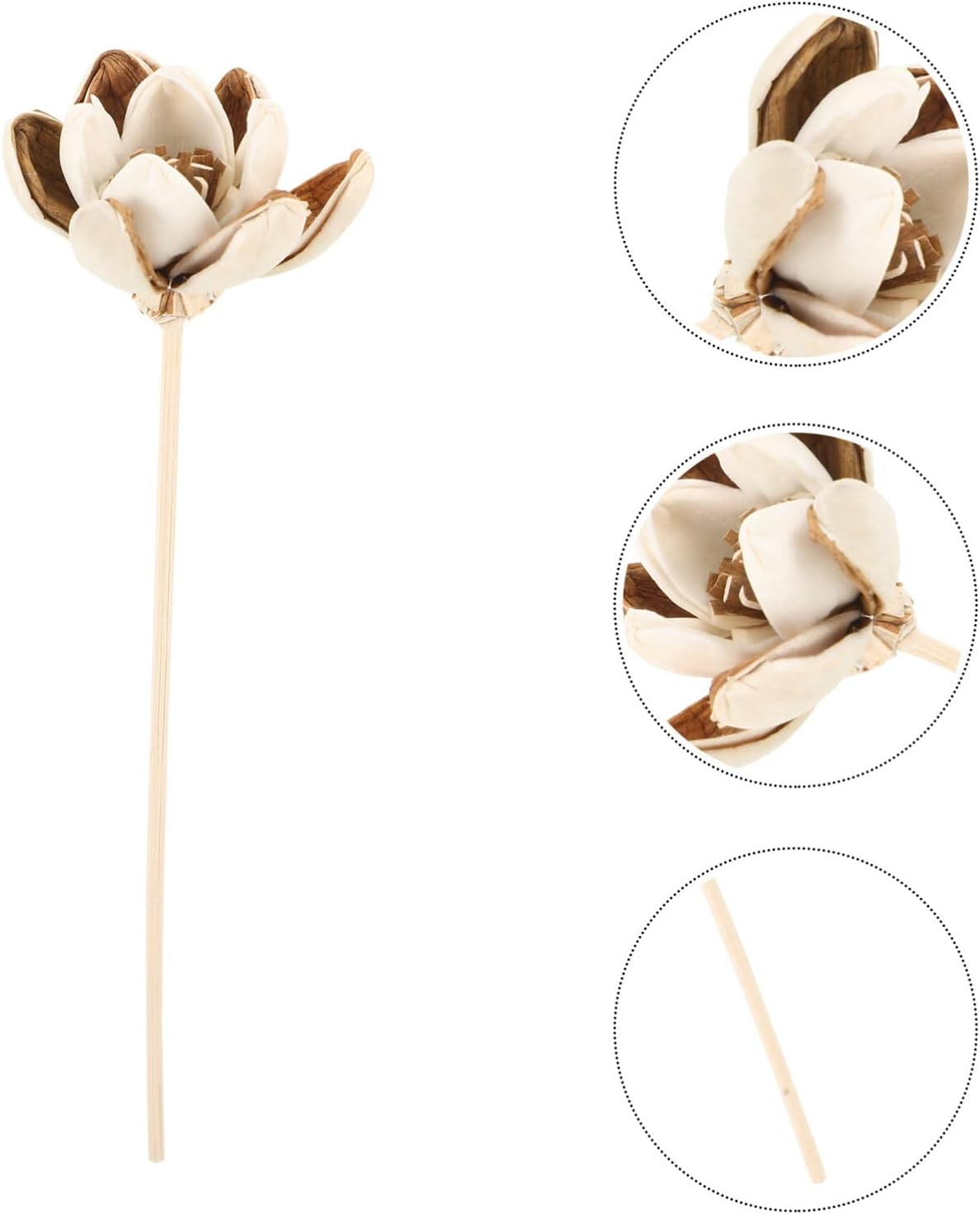 COHEALI 5Pcs Flower Decor Diffuser Sticks Aromatherapy Essential Oil Diffusers image number 4