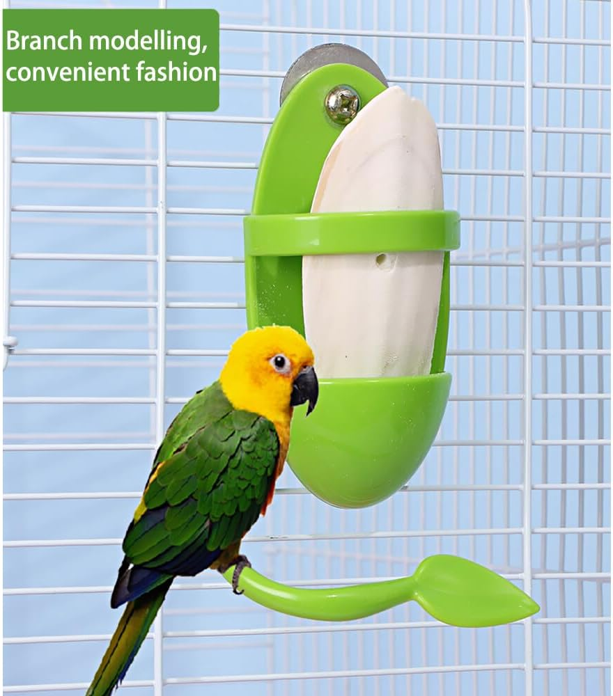 2Pcs Bird Parrot Cuttlebone Holder with Perches Cuddle Bone Feeding Racks, Cuttlefish Bone with Holder, for Pet Bird Supplies Fruit Vegetable Millet Container