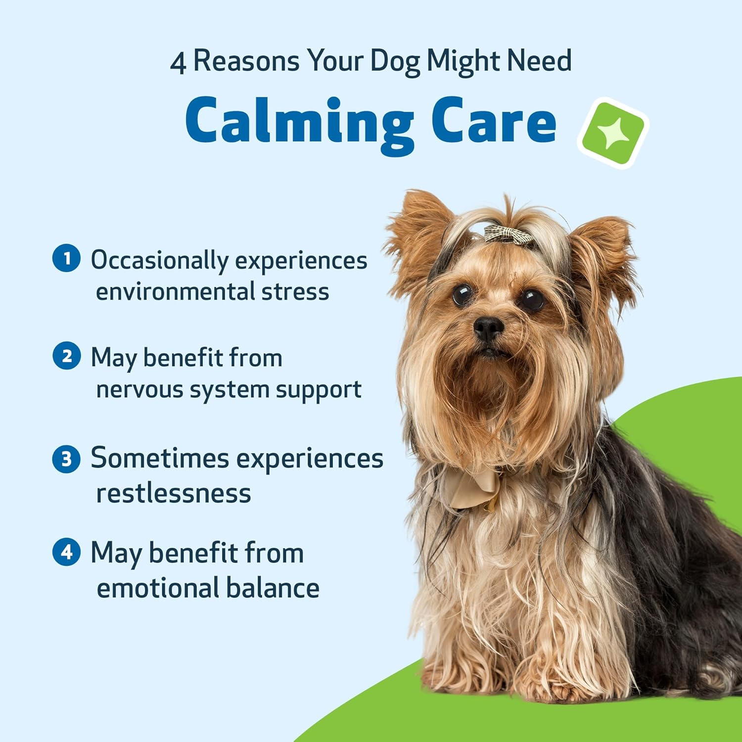 Pet Wellbeing Calming Care for Dogs - Calm Support, Relaxed Nervous System, Emotional Balance, Adaptogens, Ashwagandha, Holy Basil - Veterinarian-Formulated Herbal Supplement 2 Oz (59 Ml) image number 2