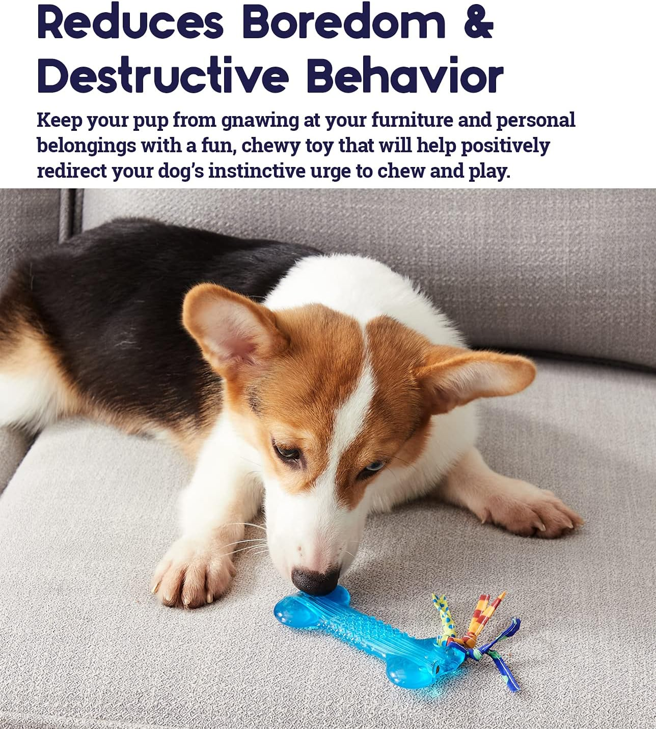 Petstages Orka Mini Bone Royal Blue Dog Chew Toy image number 3