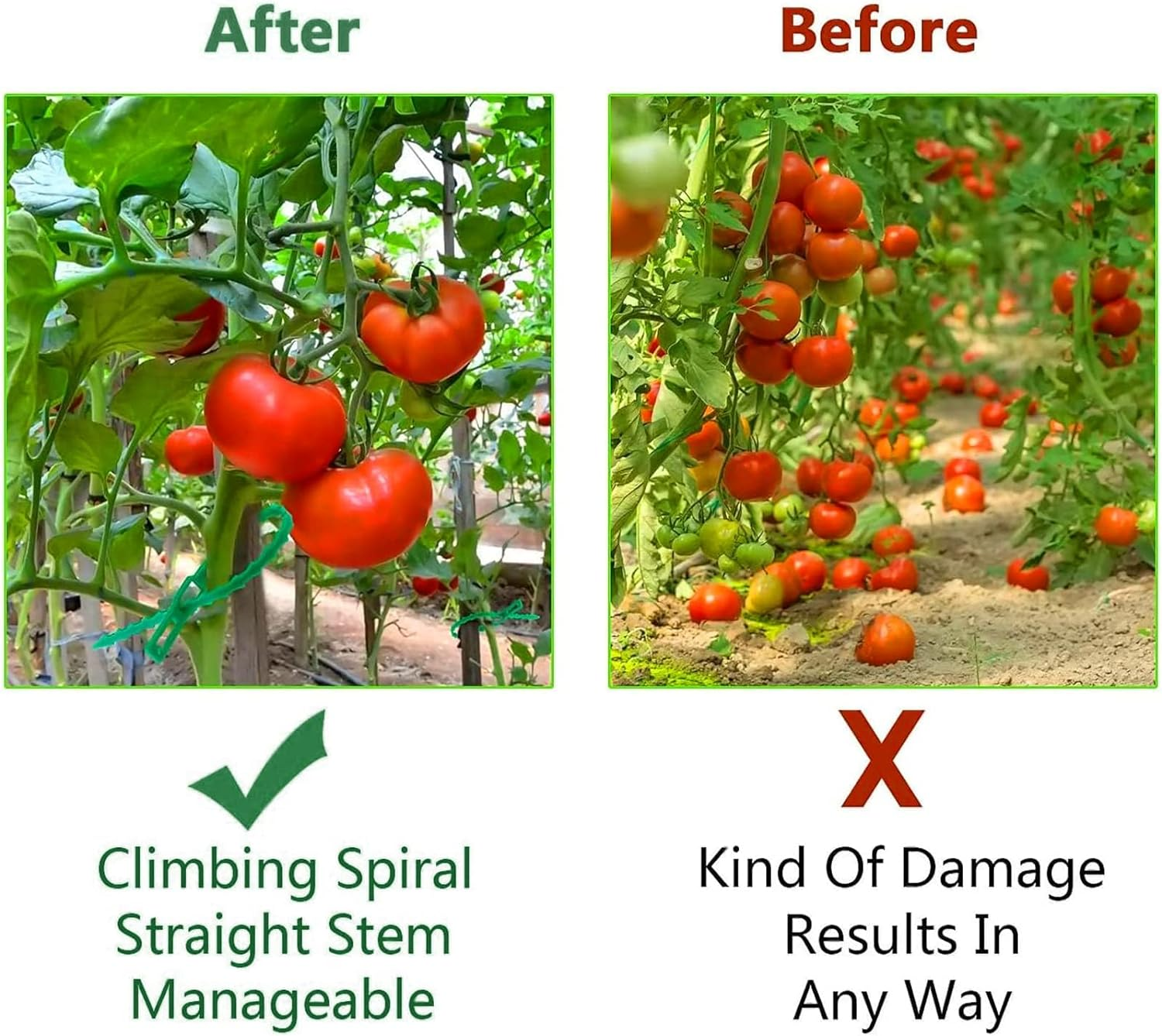 Garden Plant Twist Tie Set, 20M Soft Twist Ties with 100 Extra Plant Ties, Reusable Heavy Duty Soft Plant Metal Wire for Gardening, Inndoor, Outdoor, Plant Support image number 5