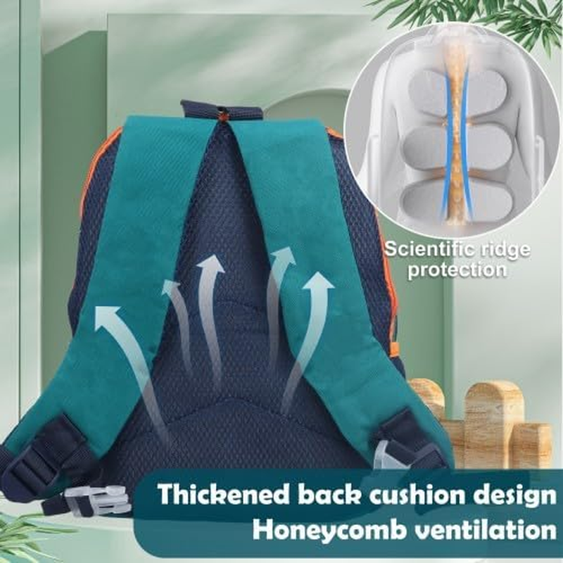 Kids Backpack, Preschool Backpack, Toddler Backpack with Chest Strap, Dinosaur Children'S Backpack, Adjustable Straps, Kids Travel Bag for Bookbag, Nursery 3-6 Years Old Toddler, Green image number 5