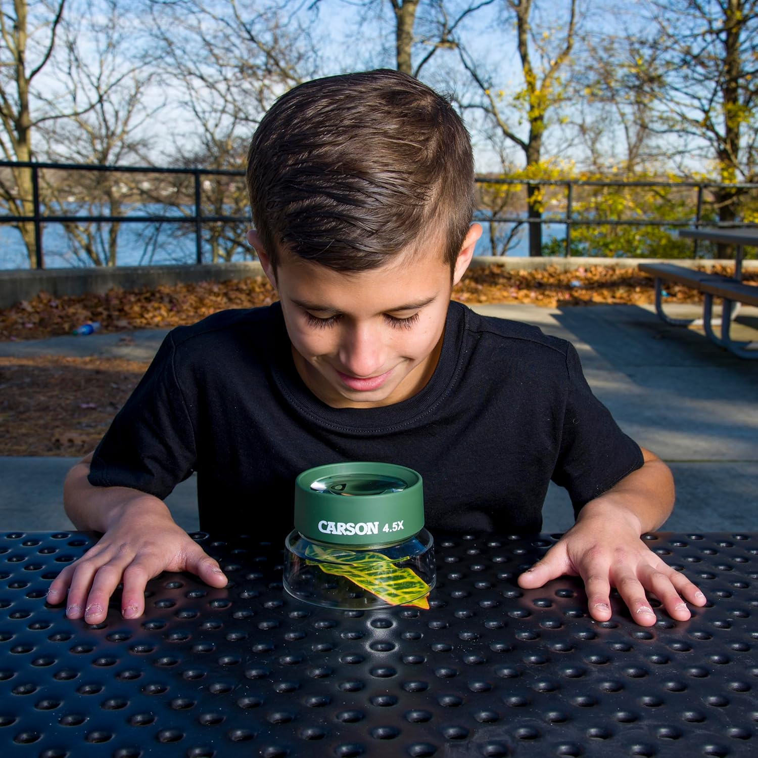 Carson Bugloupe Oversized 4.5X Stand Magnifier for Easy Viewing image number 3