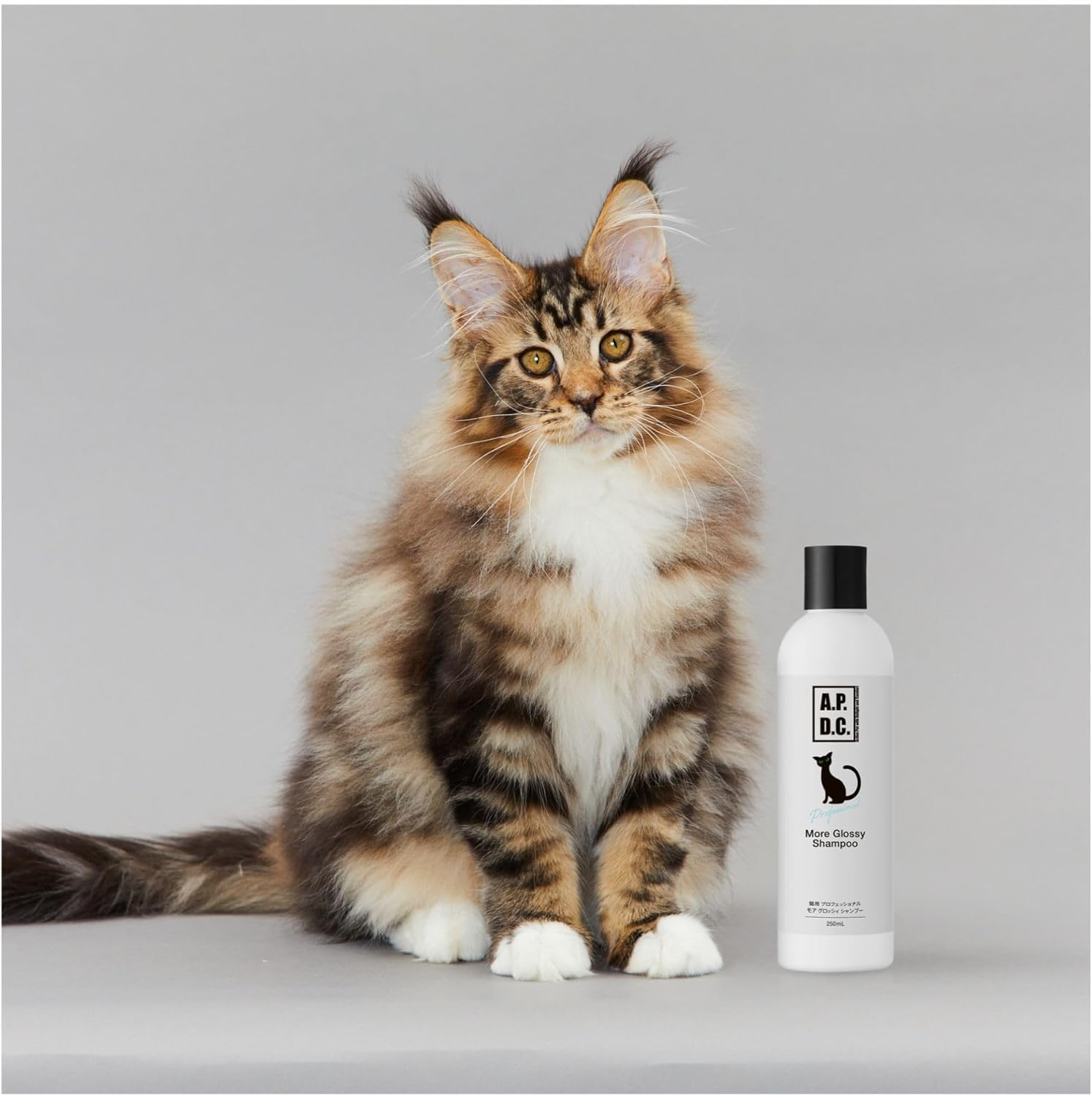 Professional More Glossy Shampoo for Cats, 8.5 Fl Oz (250 Ml) image number 1