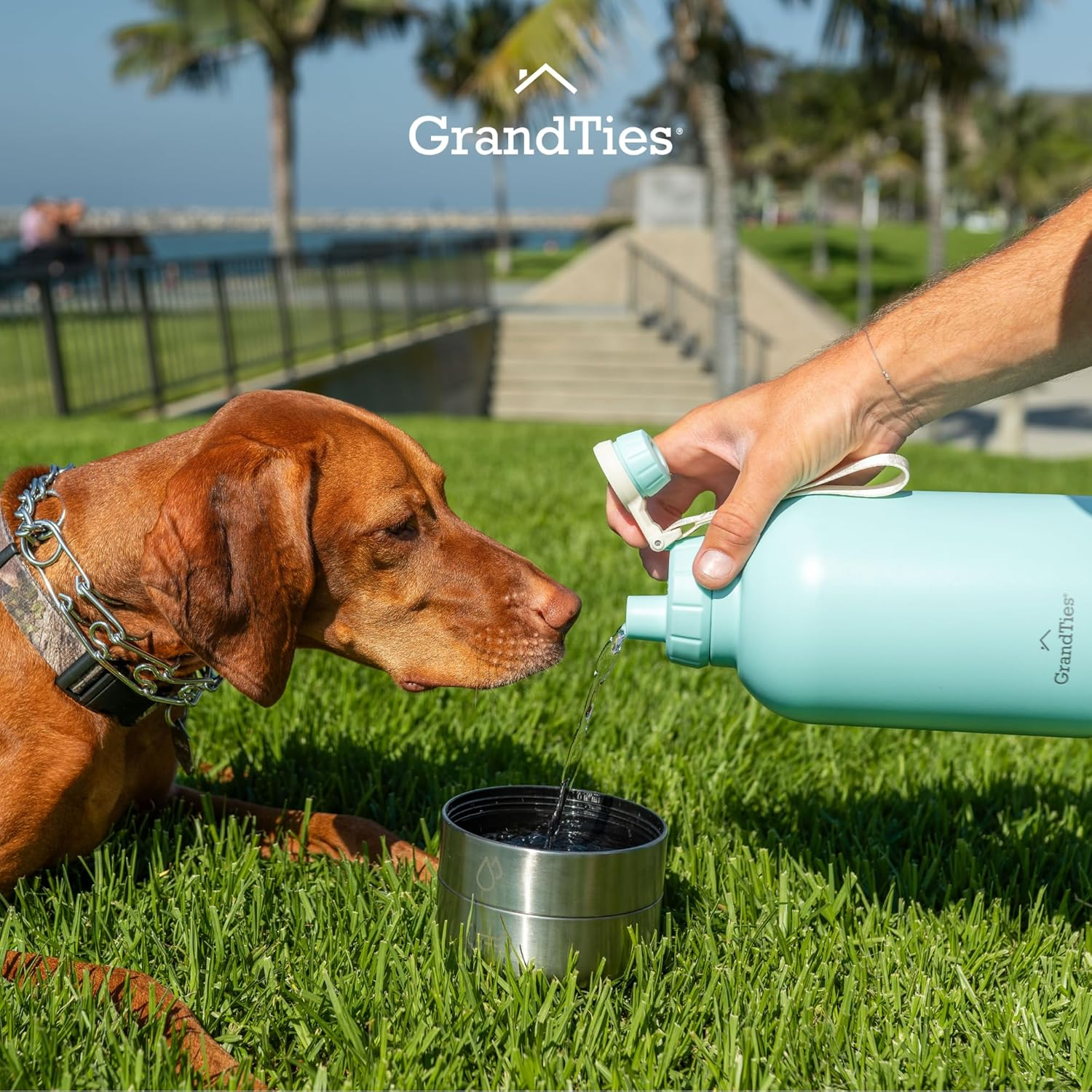 Grandties Insulated Portable Water Bottle with 2 Detachable Dog Bowls, Leak-Proof Pet Water Food Feeder Dispenser, Pet Travel Outdoor Accessory Stainless Steel Storage Container - Blue, 64Oz (1890Ml) image number 4