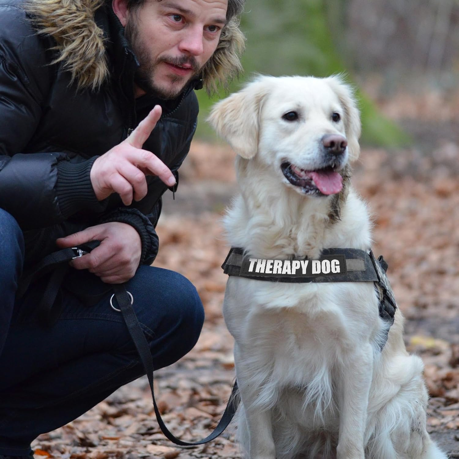 BESPORTBLE 2 Pairs Harness with Pet Clothing Dog Vest Stickers Therapy Dog Patch Dog Vest Labels Reflector Vest Dog Tags for Pets Dog Patches for Pet Dog Harness Patches Hook Pu Black image number 2