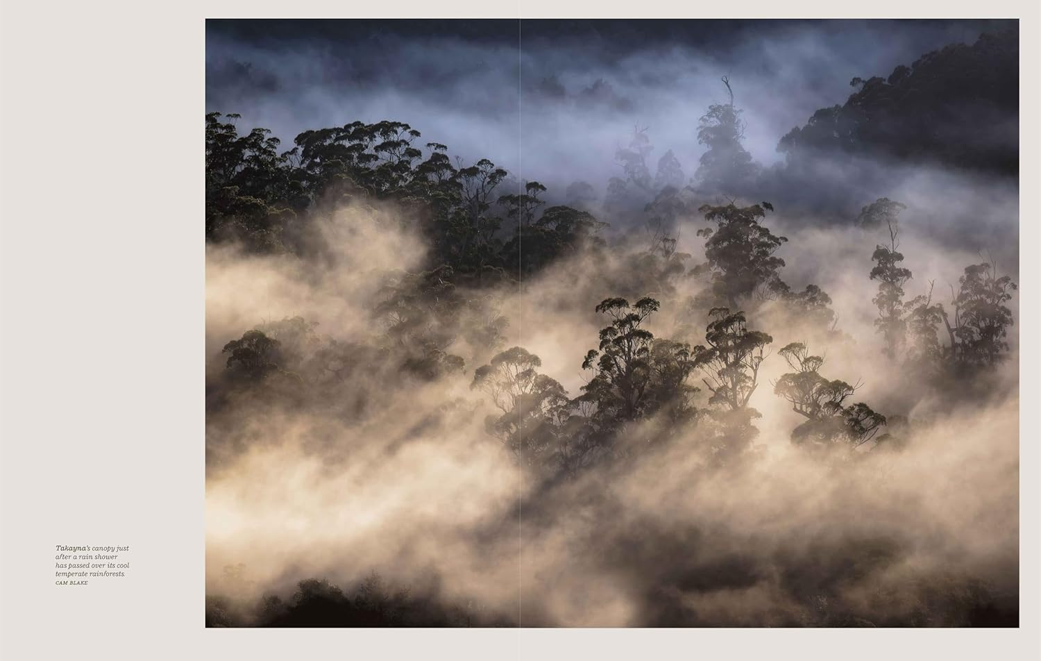 Takayna/Tarkine: One of the Last Wild Placces on Earth image number 2