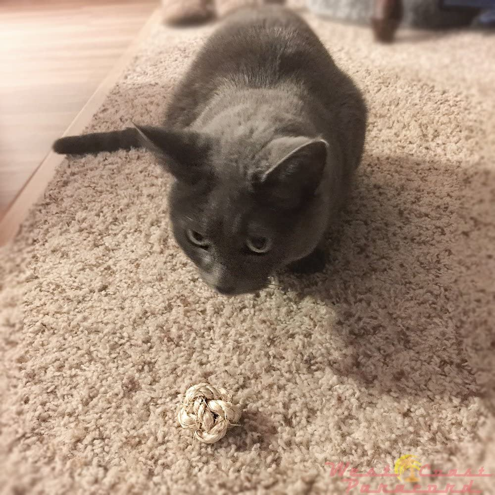 1/4-Inch Premium Sisal Rope - 100Ft - Pet Friendly image number 3