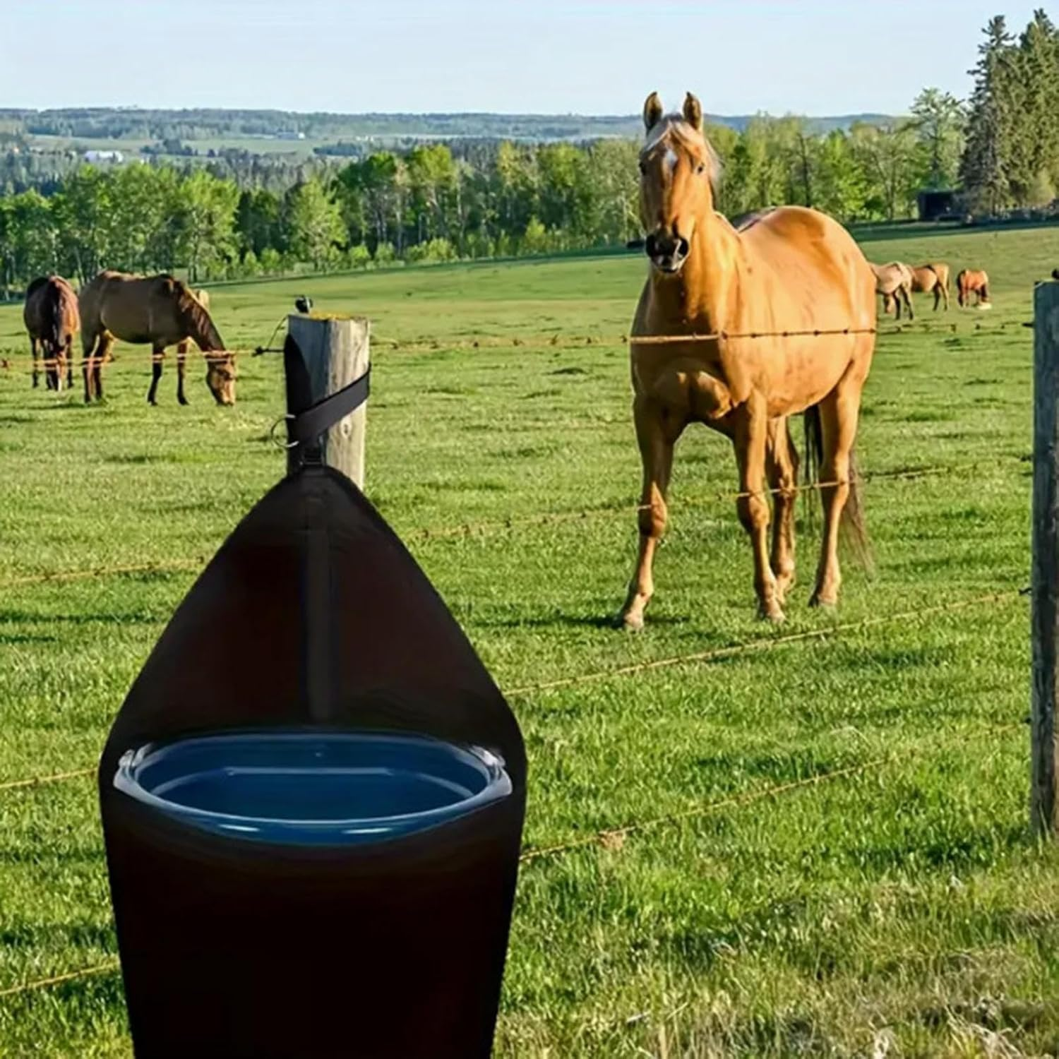 Horse Feed Trailer Hanging Bucket Bag, 1Pc Horse Feed Bag Hanging Bucket Holder, Horse Trailer Food Bag Bucket Holder Fits 5 Gallon Bucket image number 1