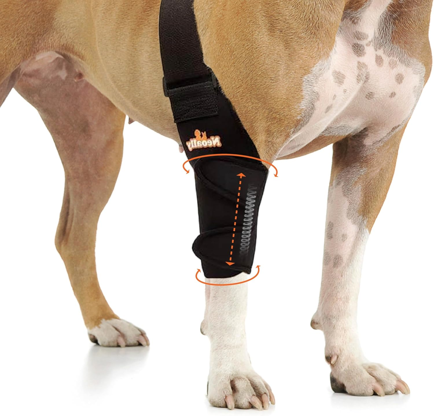 Neoally Dog Elbow Support Brace with Metal Inserts for Canine Elbow and Shoulder Support Elbow Hygroma, Dysplasia, Orthosis, Calluses, Pressure Sores and Shoulder Dislocation (Right Leg, Small)